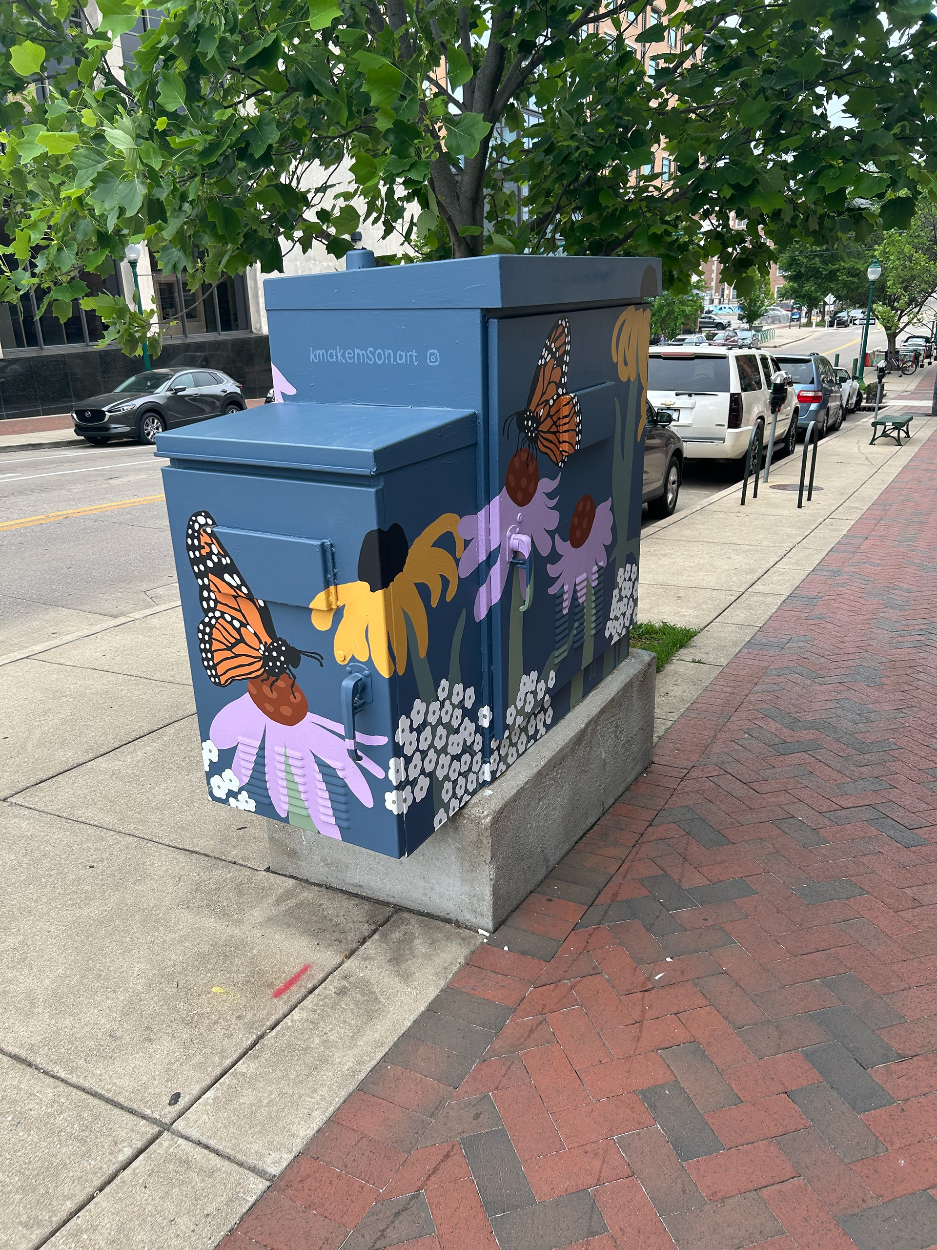 "Boxes in Bloom" Traffic Box Mural May 2025