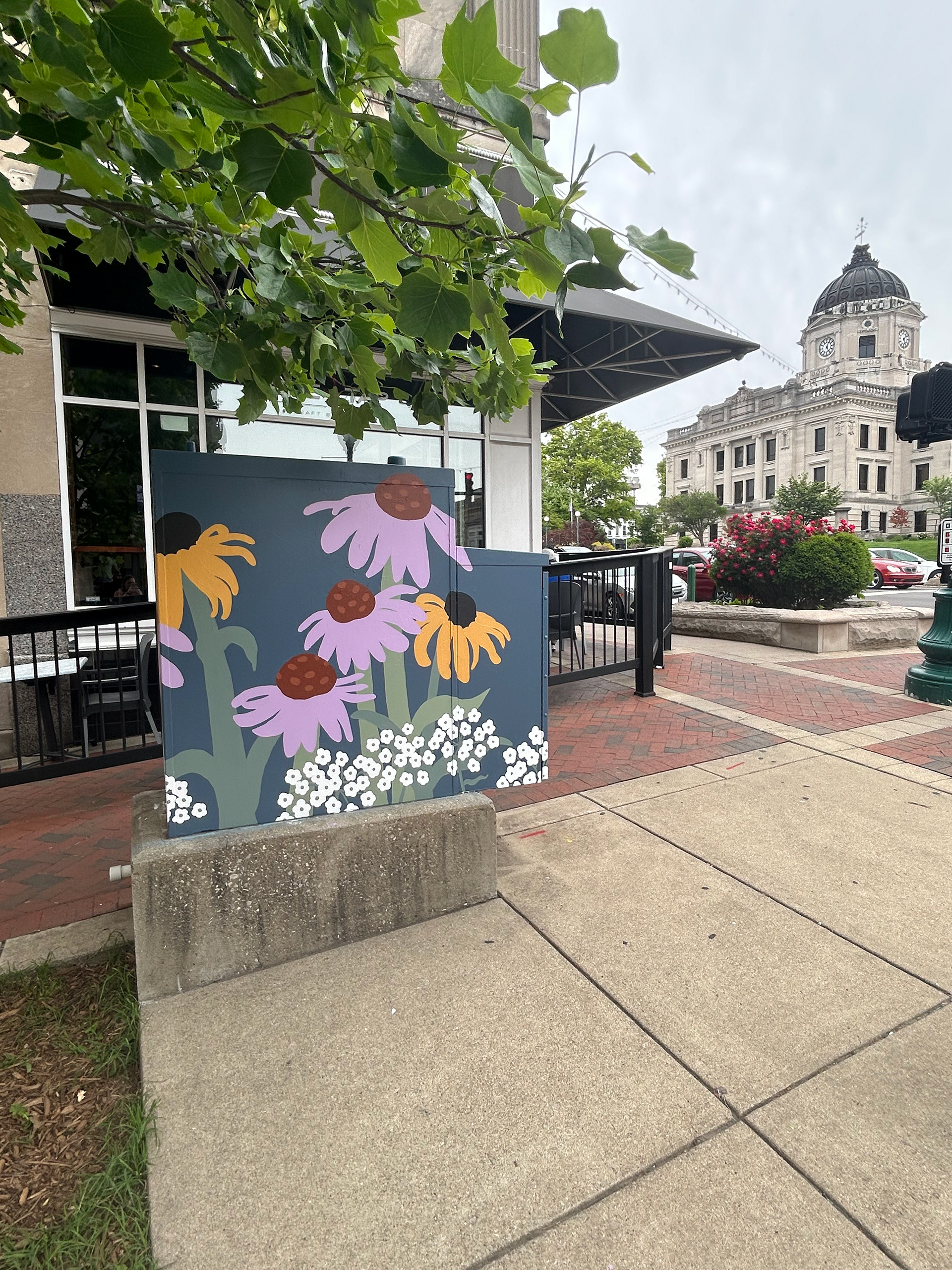 "Boxes in Bloom" Traffic Box Mural May 2025