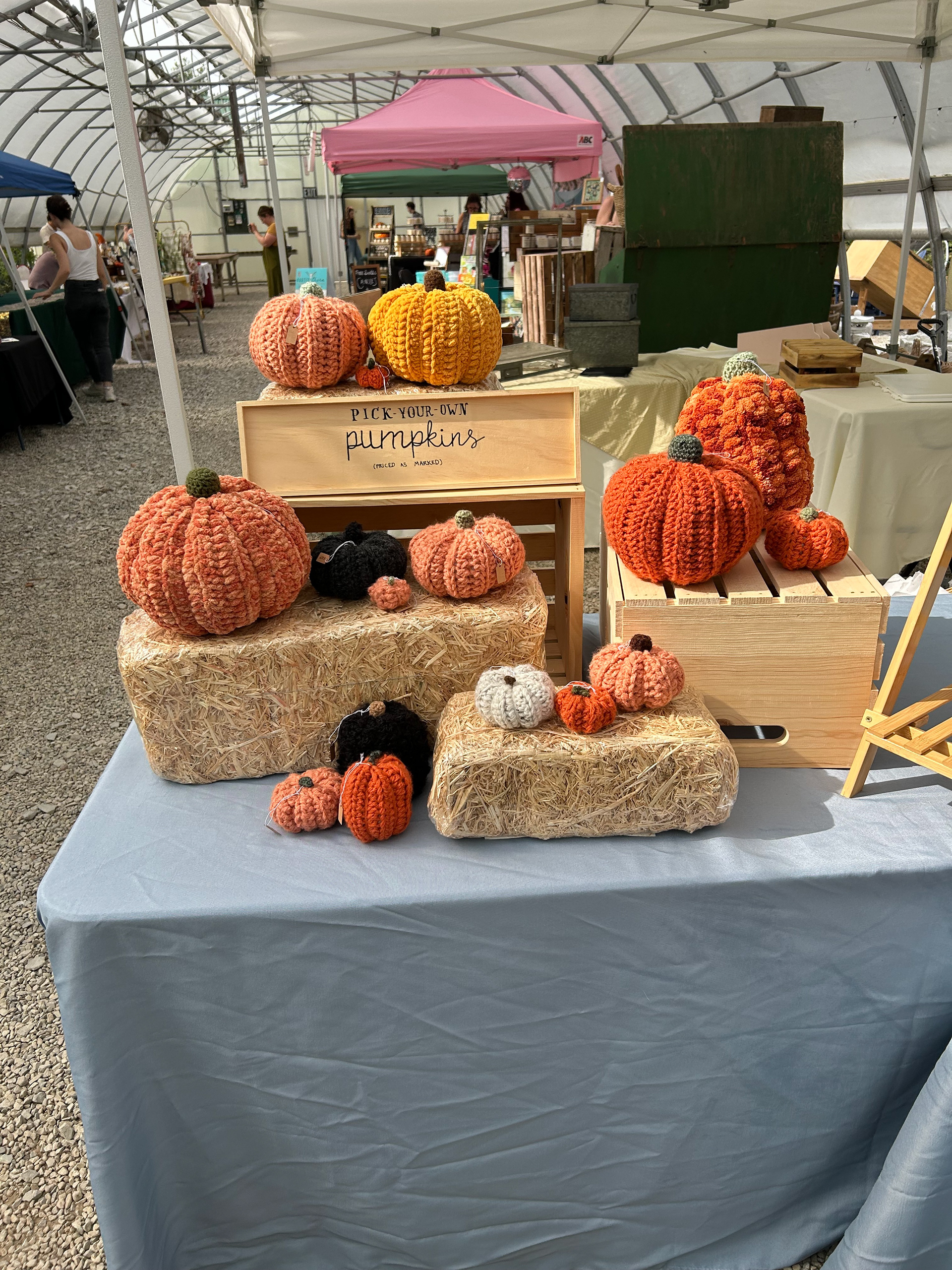 Crochet Pick-Your-Own-Pumpkins