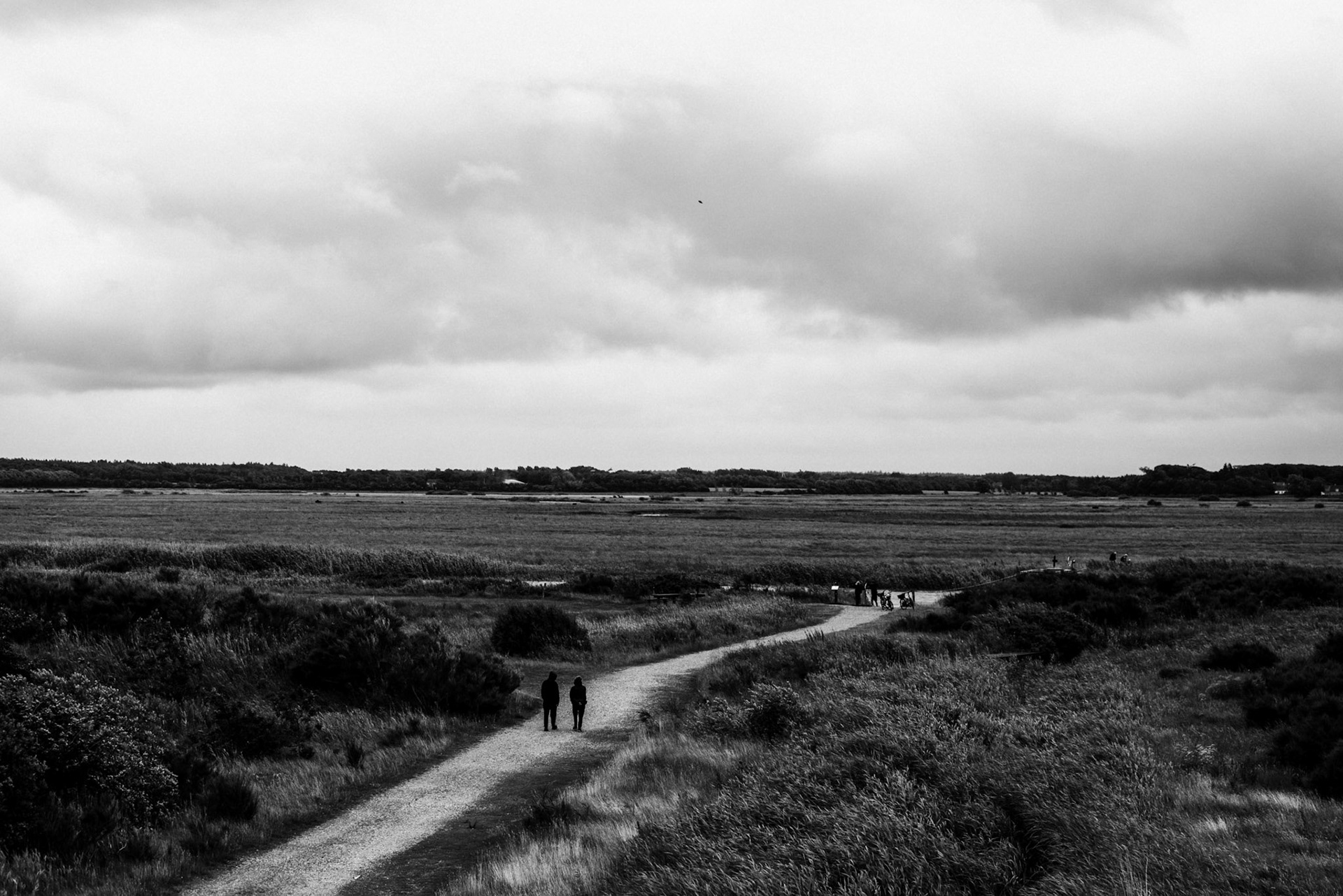 Skjern Enge