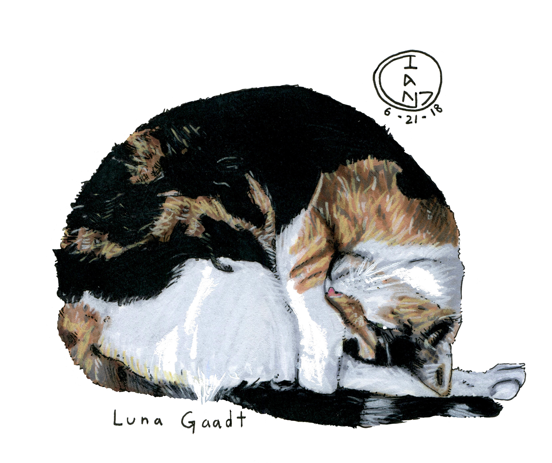 Luna
