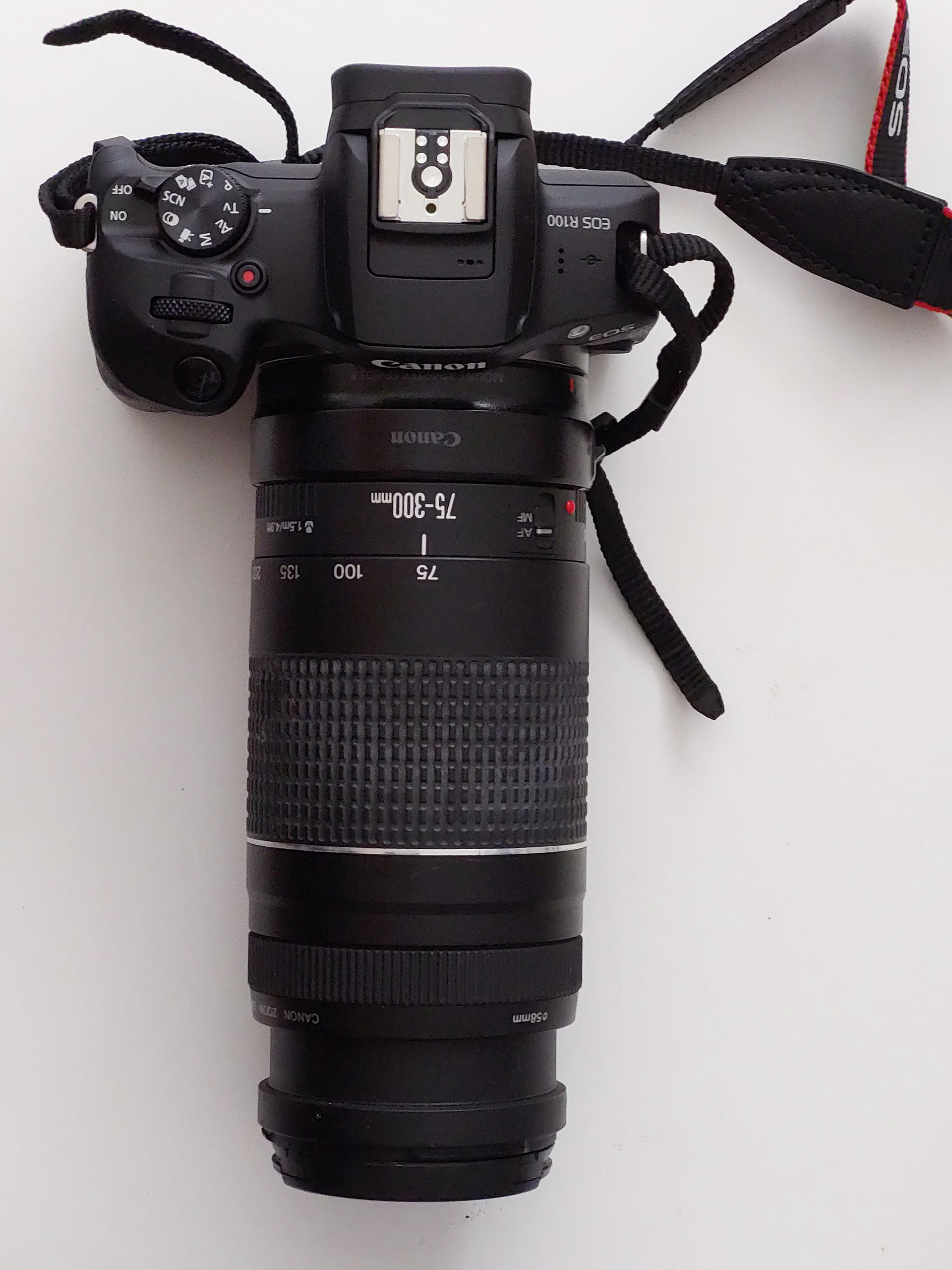 Canon EF 75-300mm f/4-5.6
