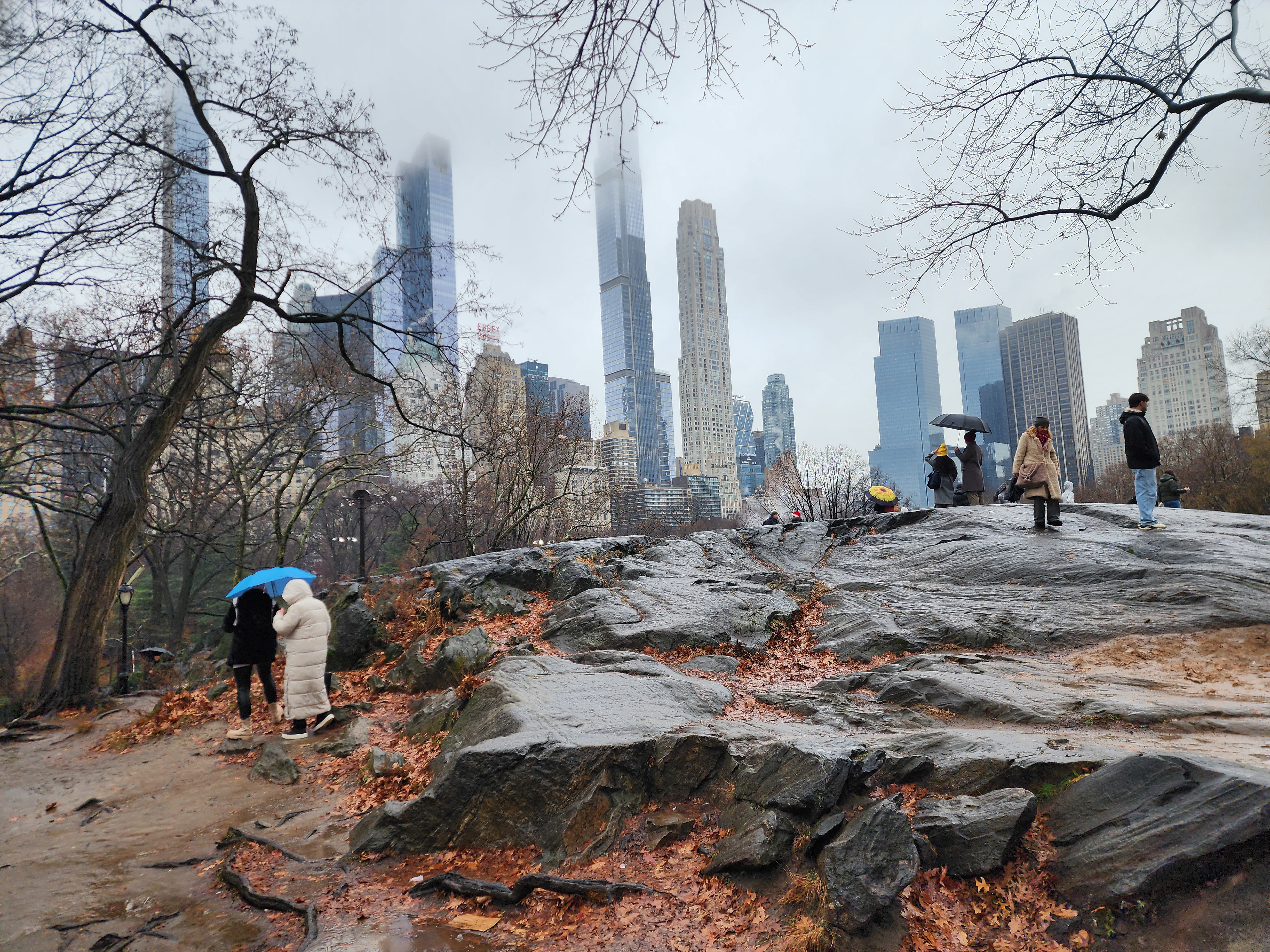 Reading the Scene Before Pressing the Shutter