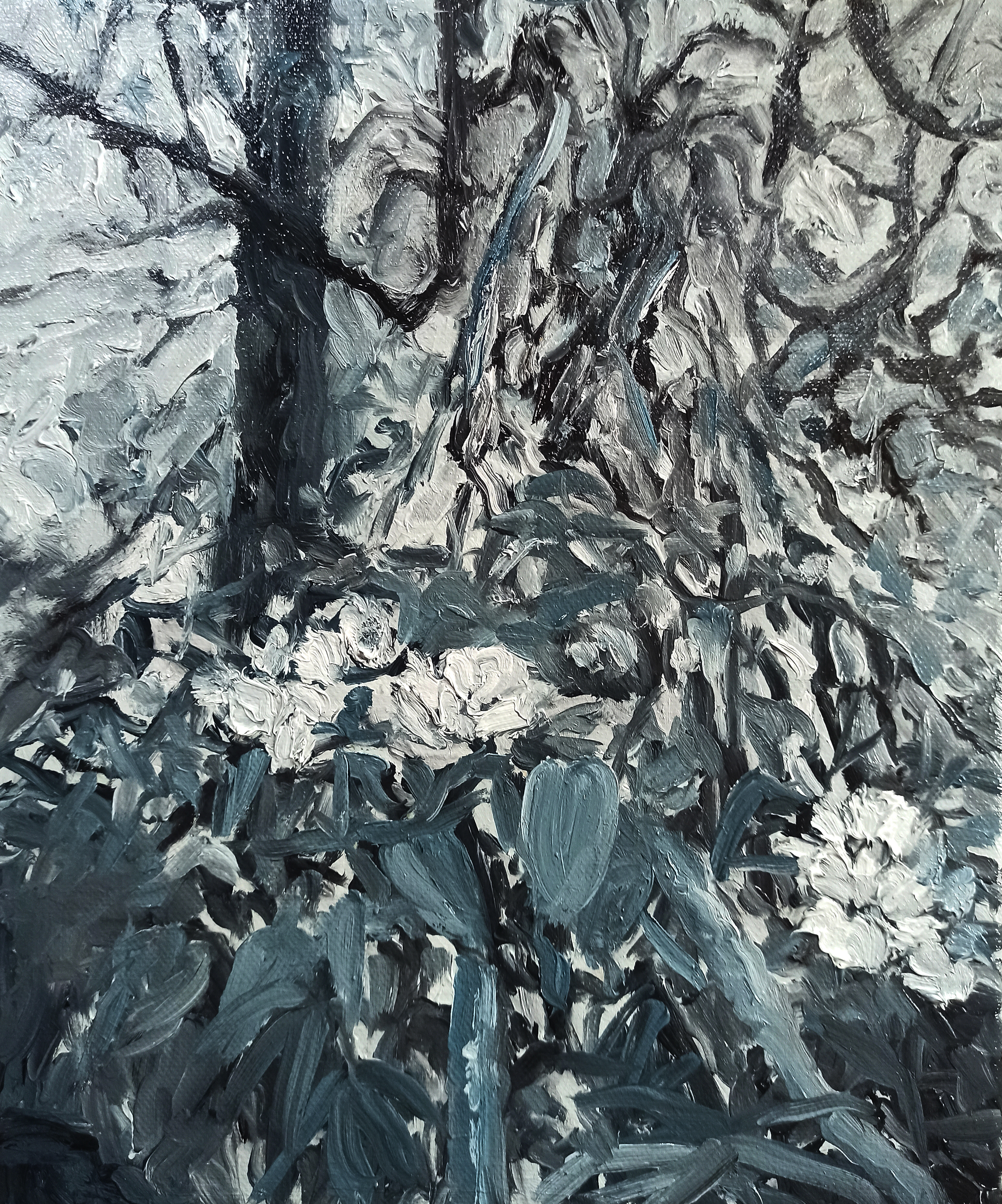 Hruška-31x25-oil on canvas-2023 - for sale