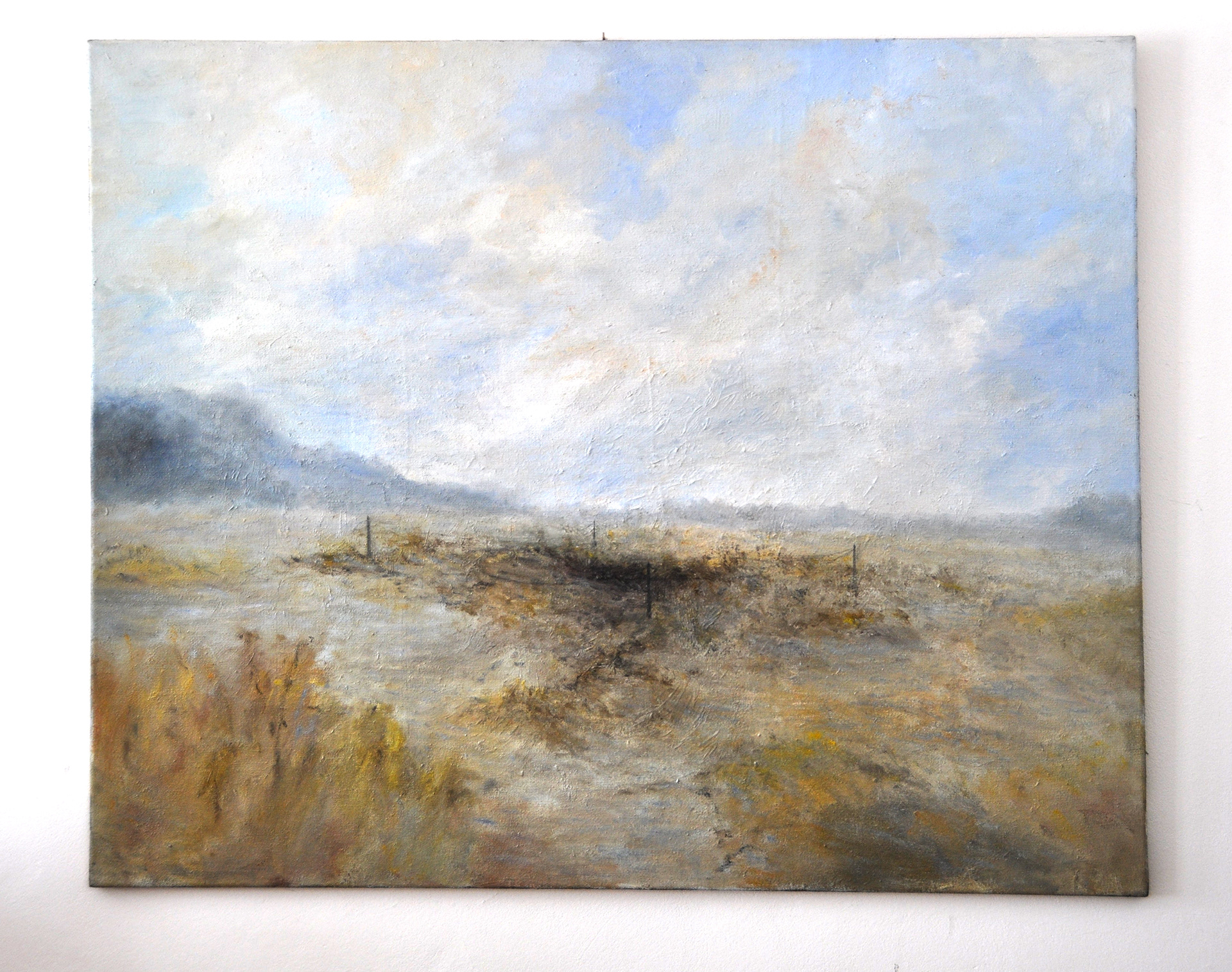 Bahniště-2016-120x100-oil on canvas - sold