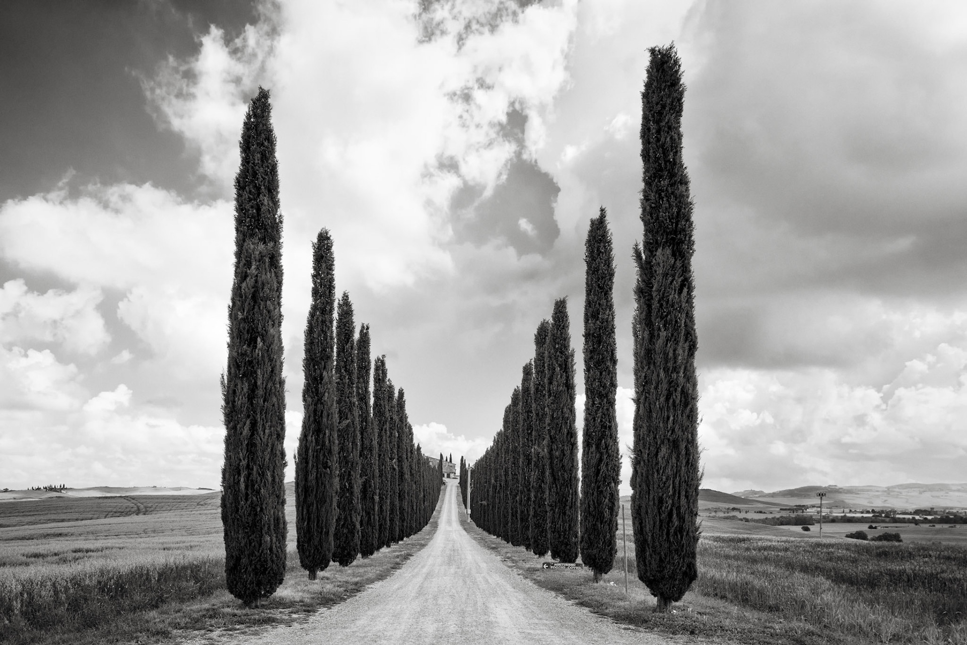 They are everywhere. Here the border the entrence of a very nice property in Val d'Orcia.