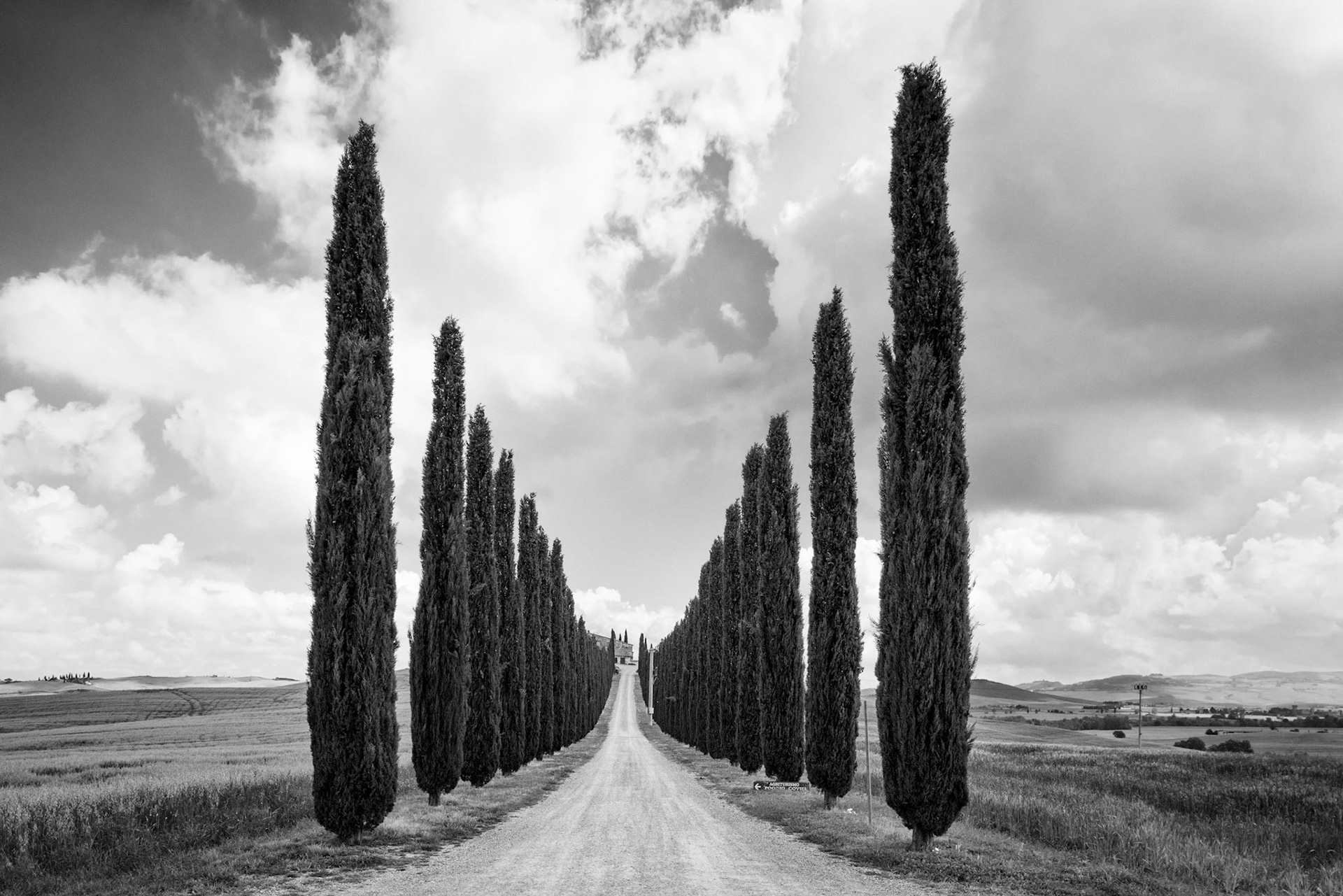 They are everywhere. Here the border the entrence of a very nice property in Val d'Orcia.