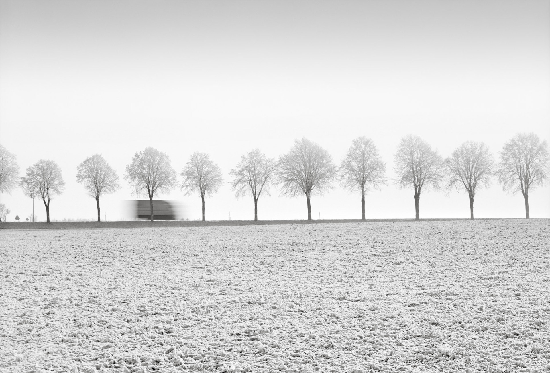Winter Delivery