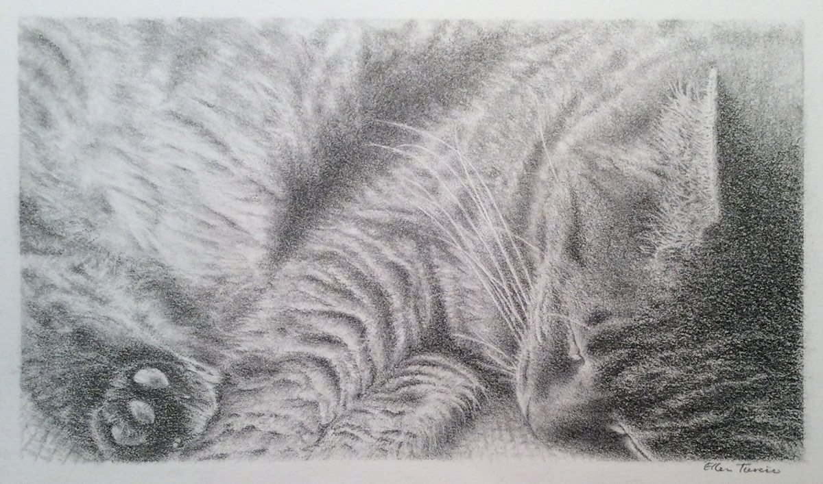 Not a Creature Was Stirring, Graphite 5 x 7