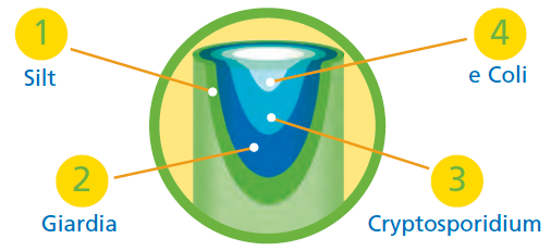 Simplifying through clean illustration