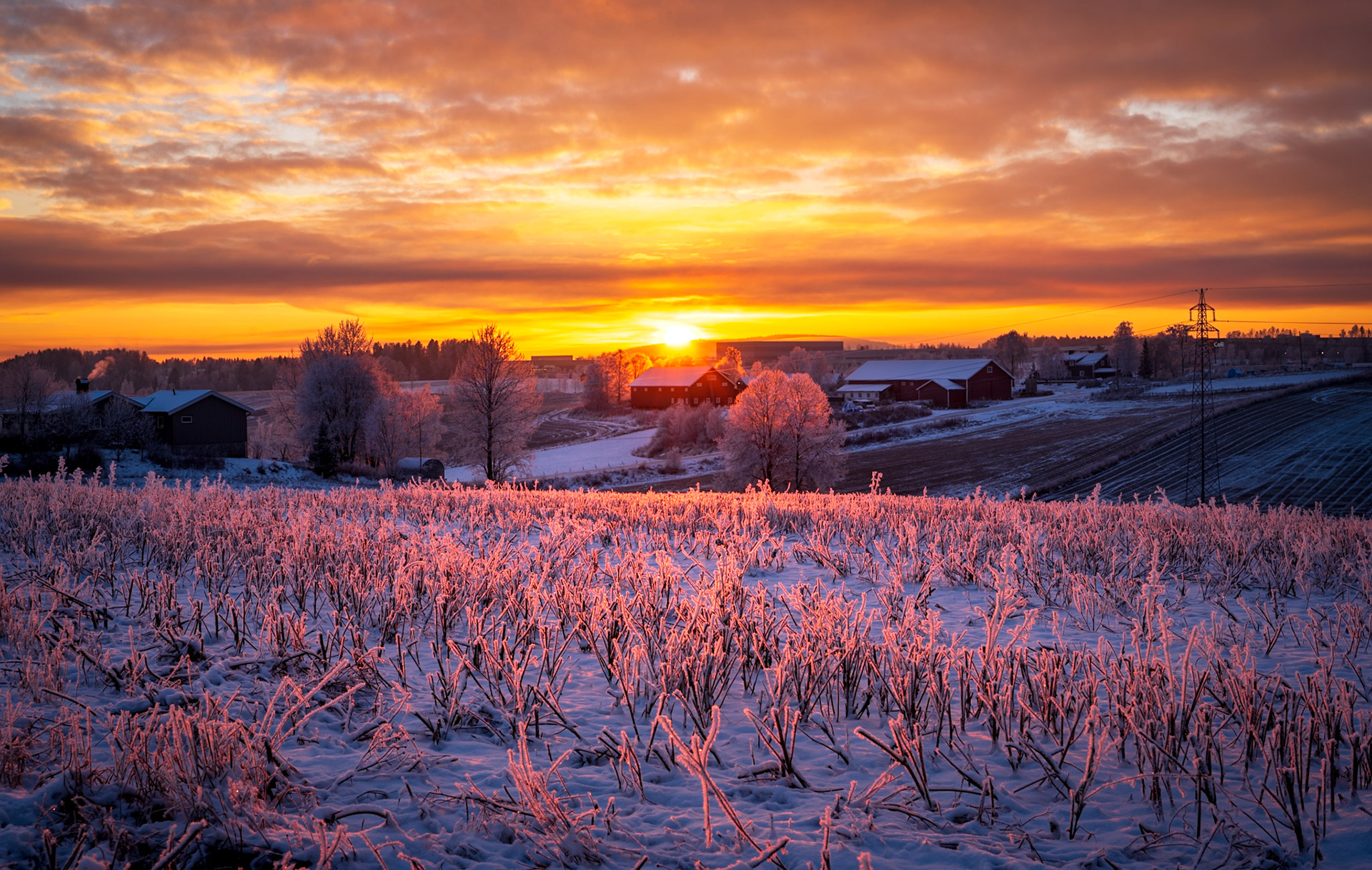 Romerike