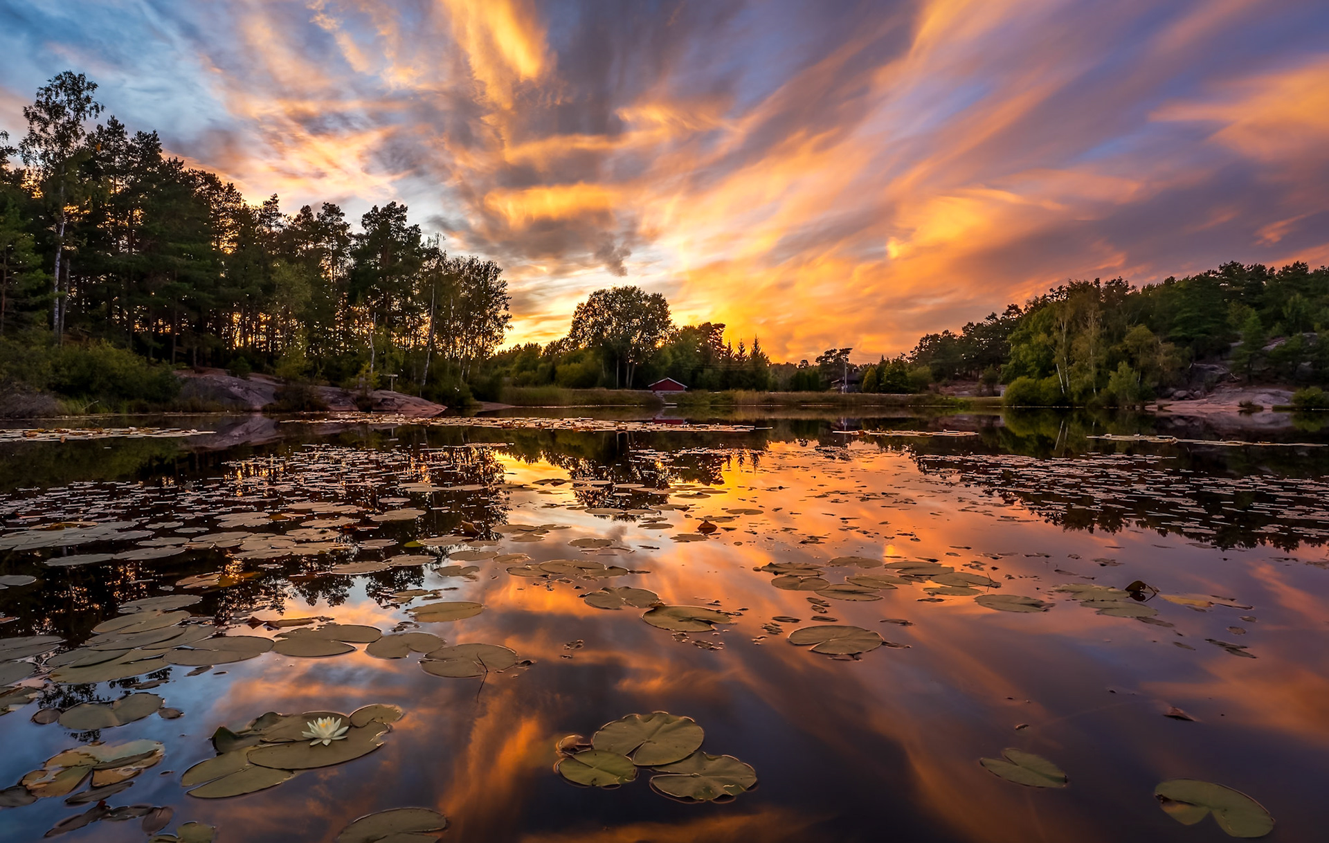 Smertudammen, Kråkerøy