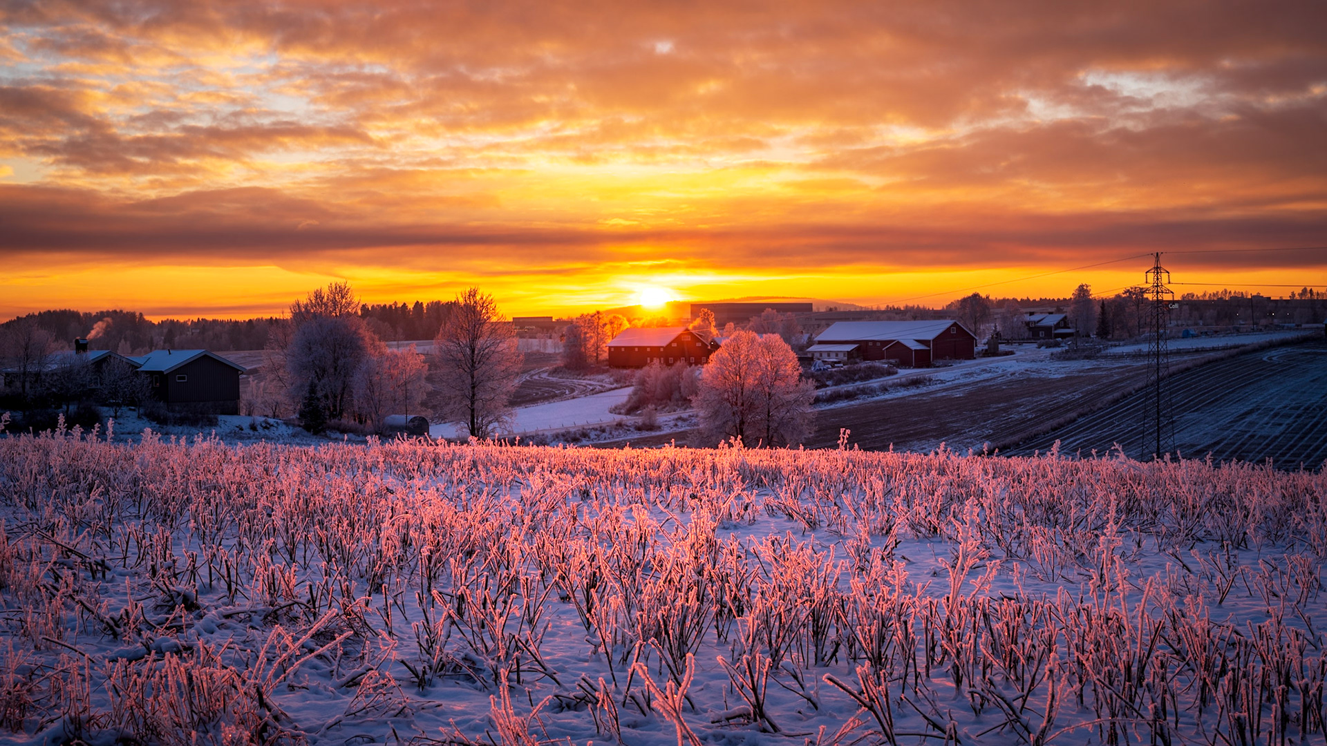 Romerike
