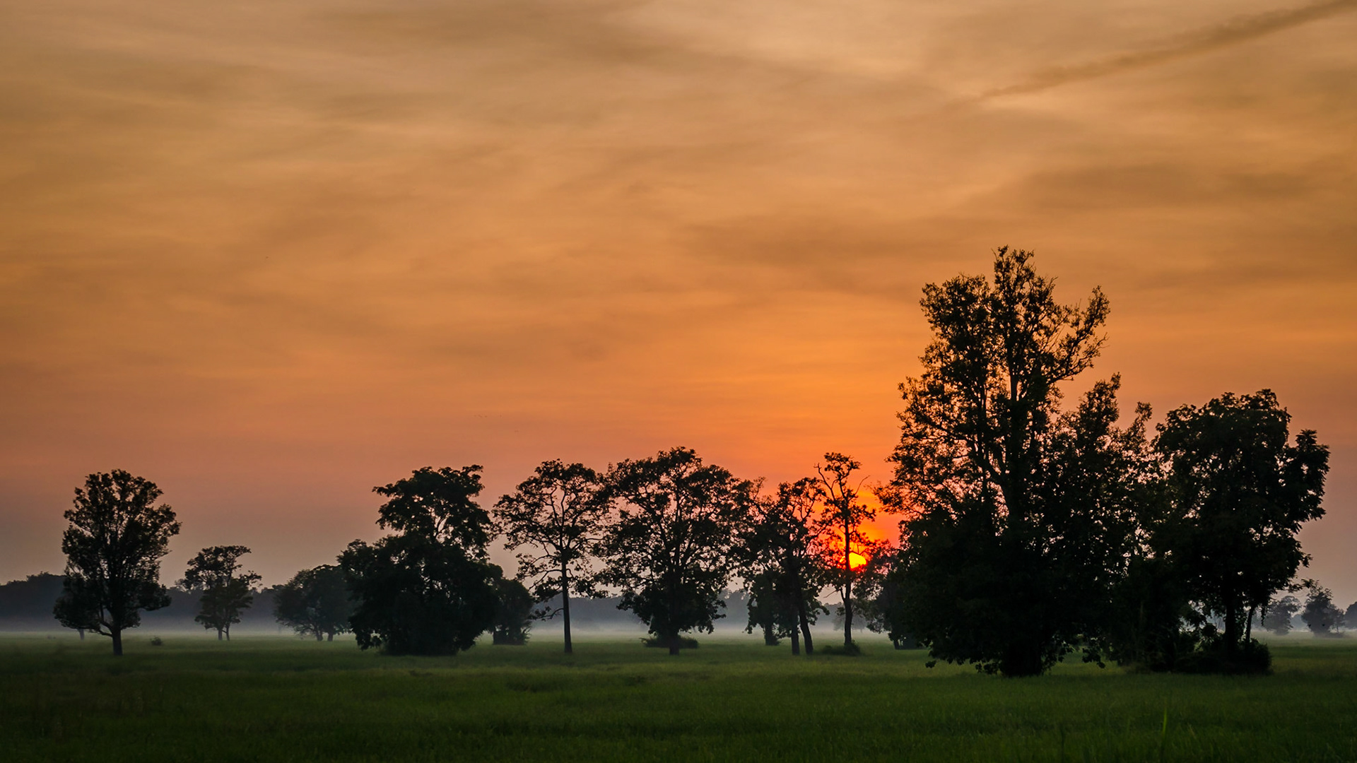 Surin, Thailand