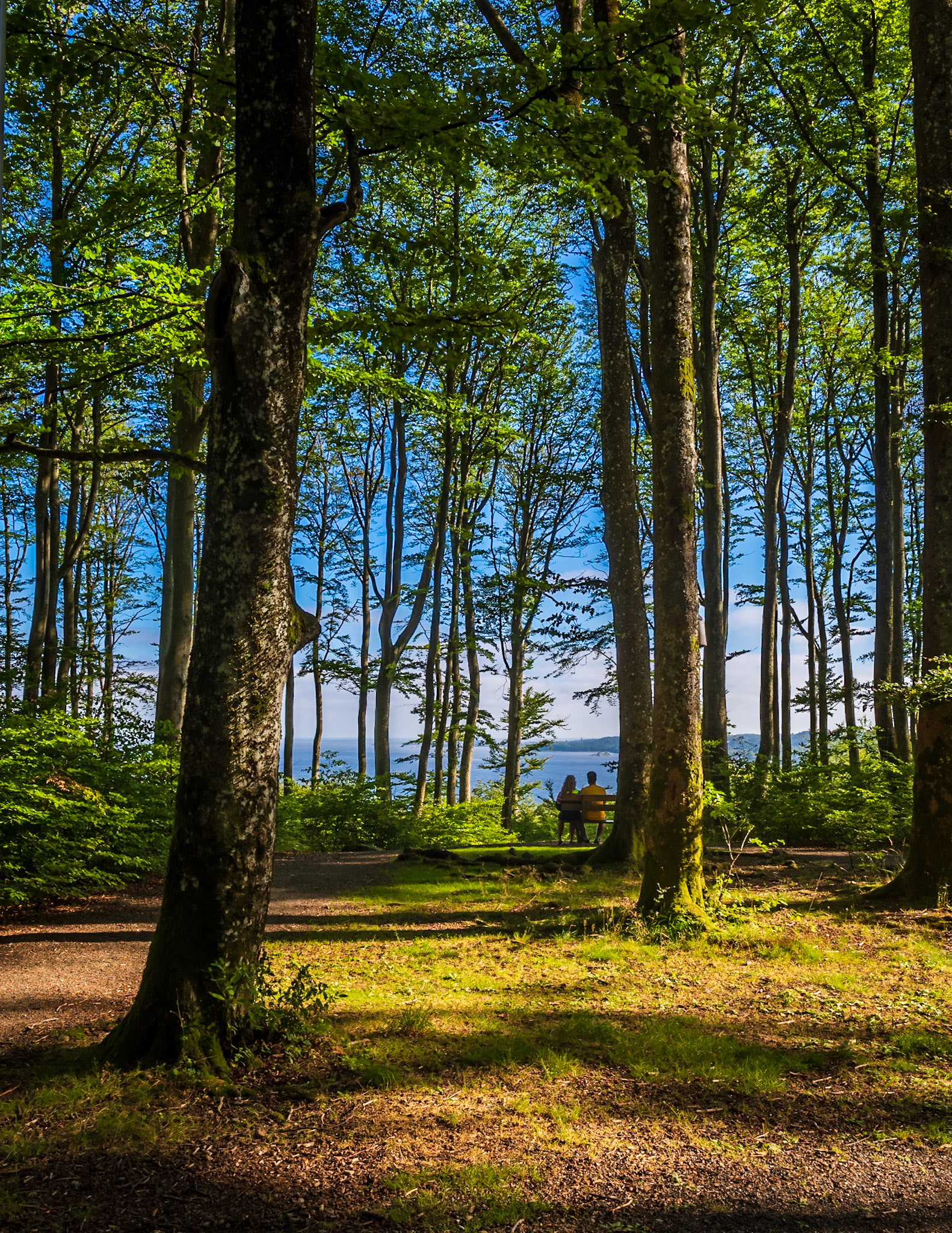 Bøkeskogen, Larvik