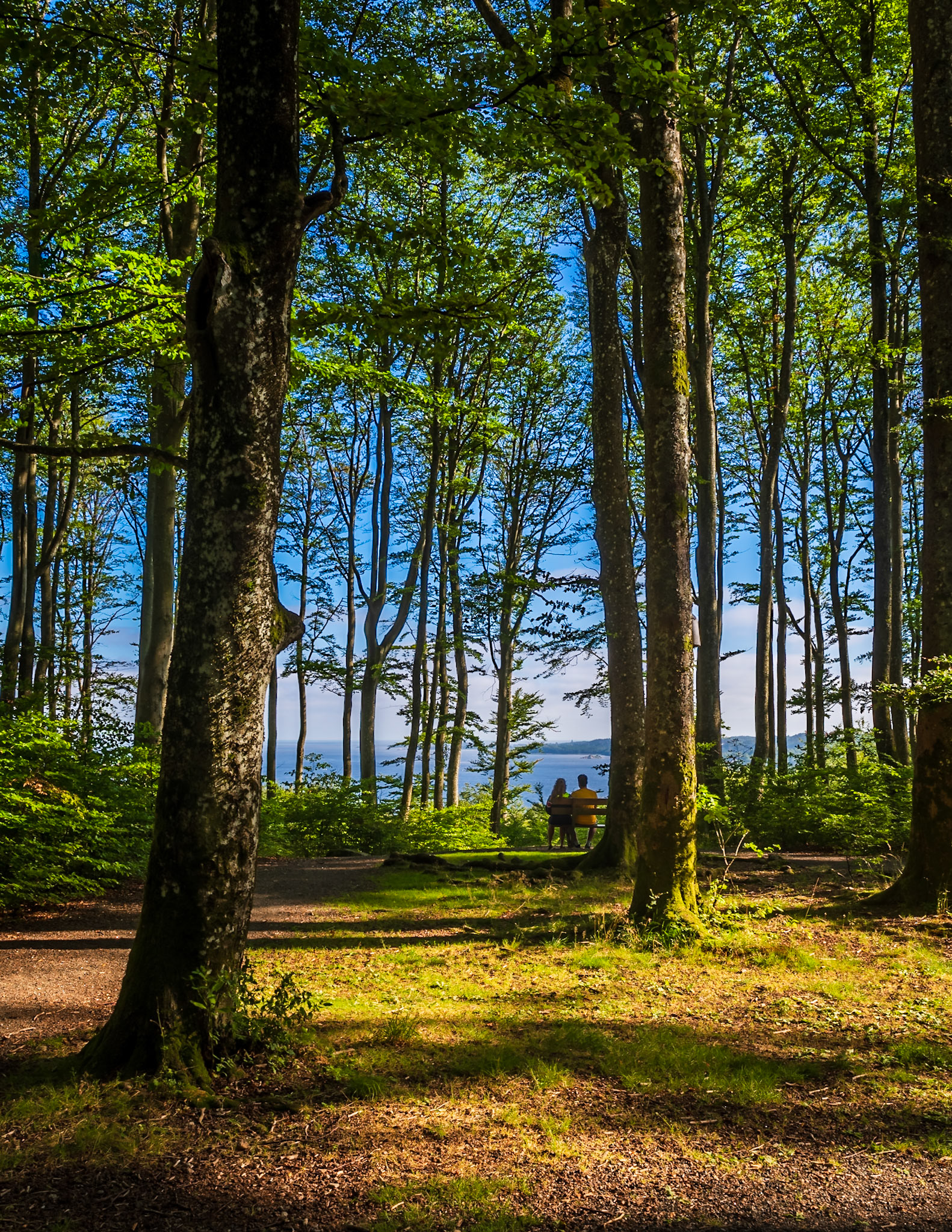Bøkeskogen, Larvik