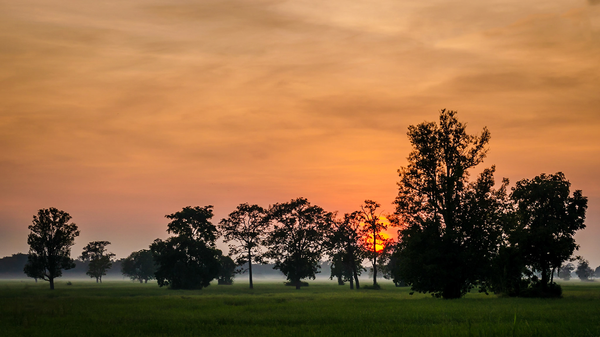 Surin, Thailand