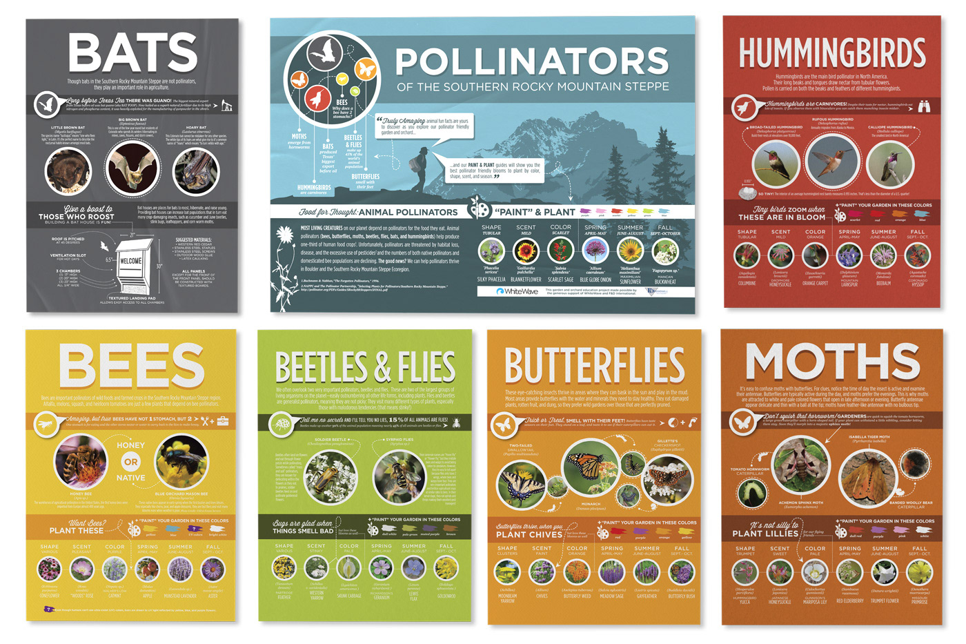 Finalized concepts for review before placing order with the printer.