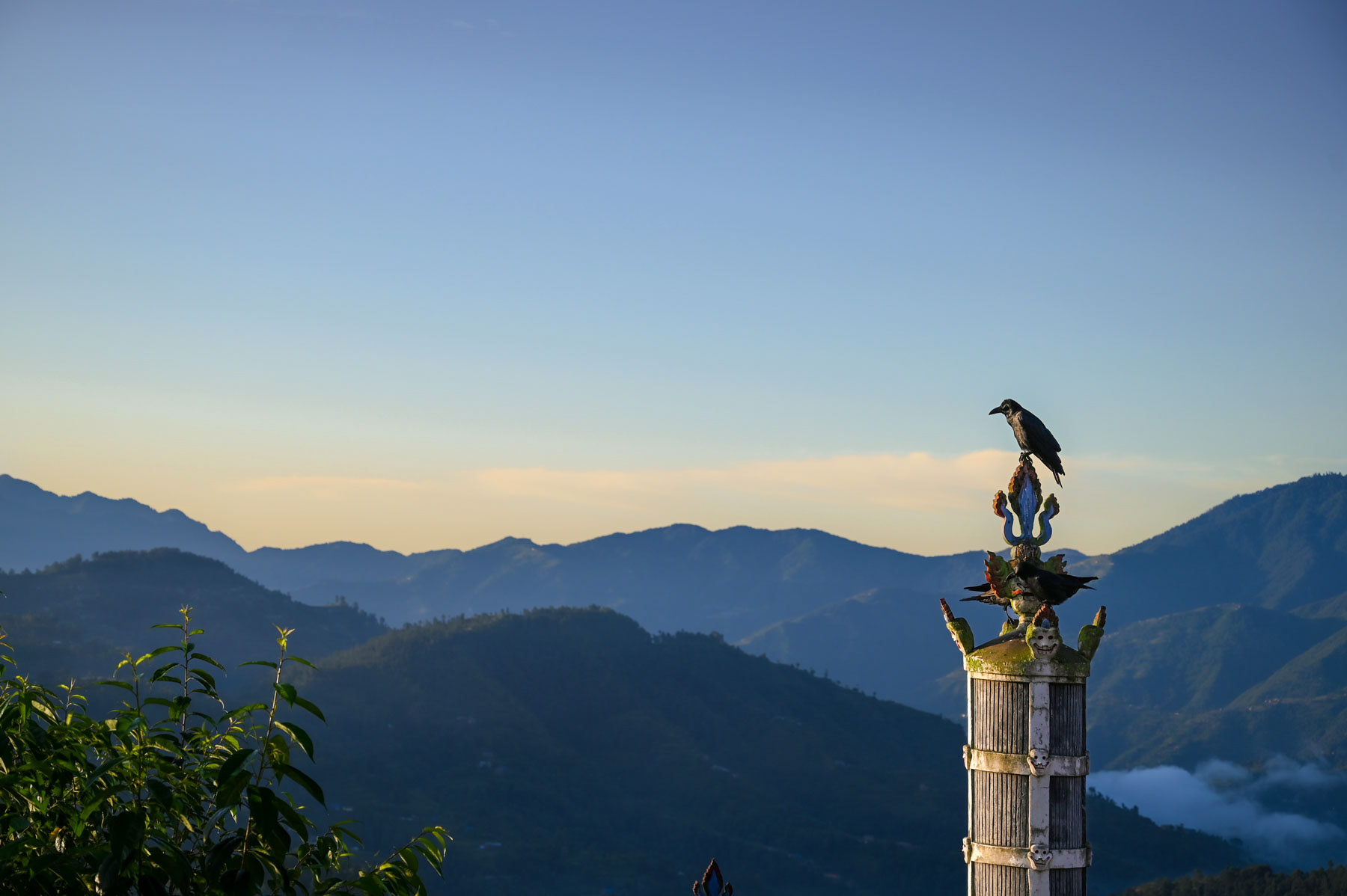 Thrangu Tashi Yangtse Monastery, Bagmati Province, NEPAL