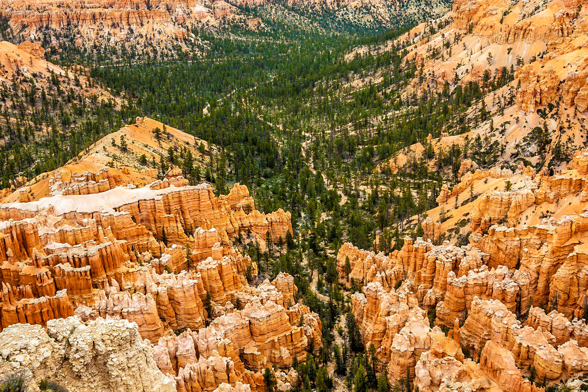 Bryce Canyon National Park, Utah
