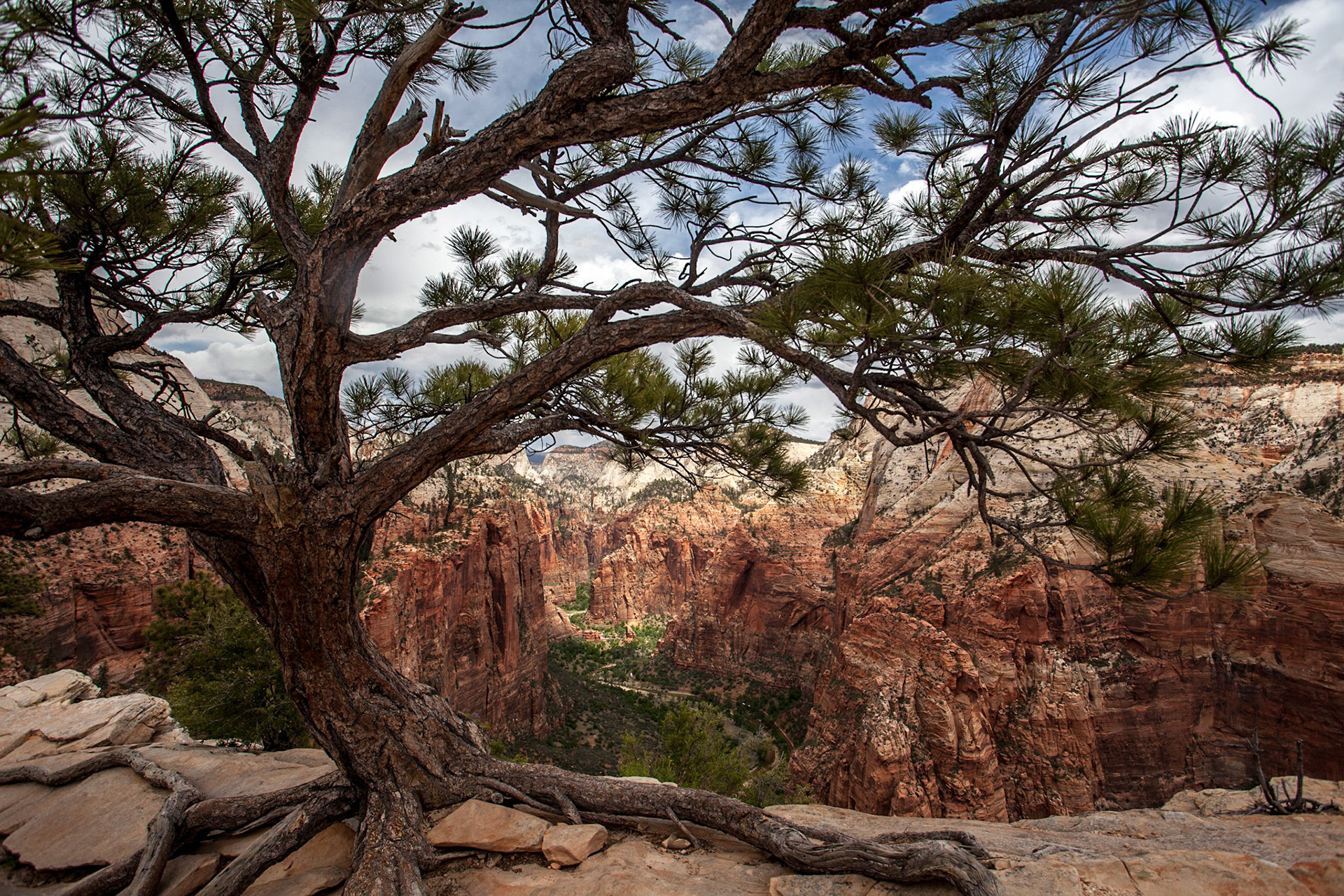 Zion National Park, Utah
