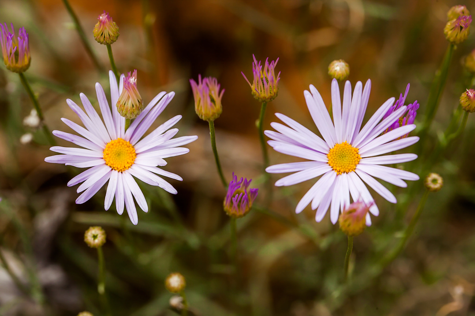 Zion National Park, Utah