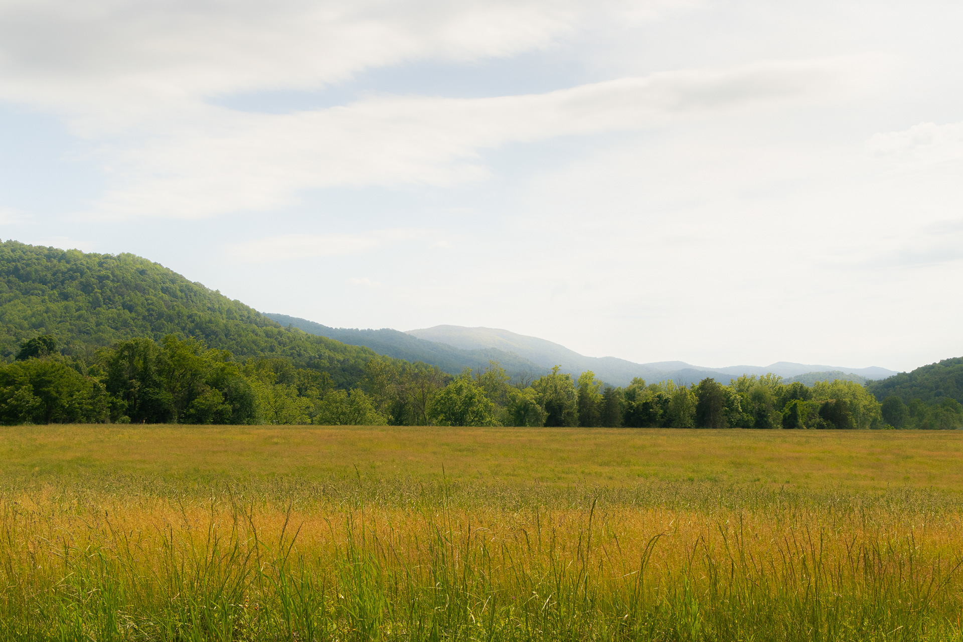Blue Ridge Countryside