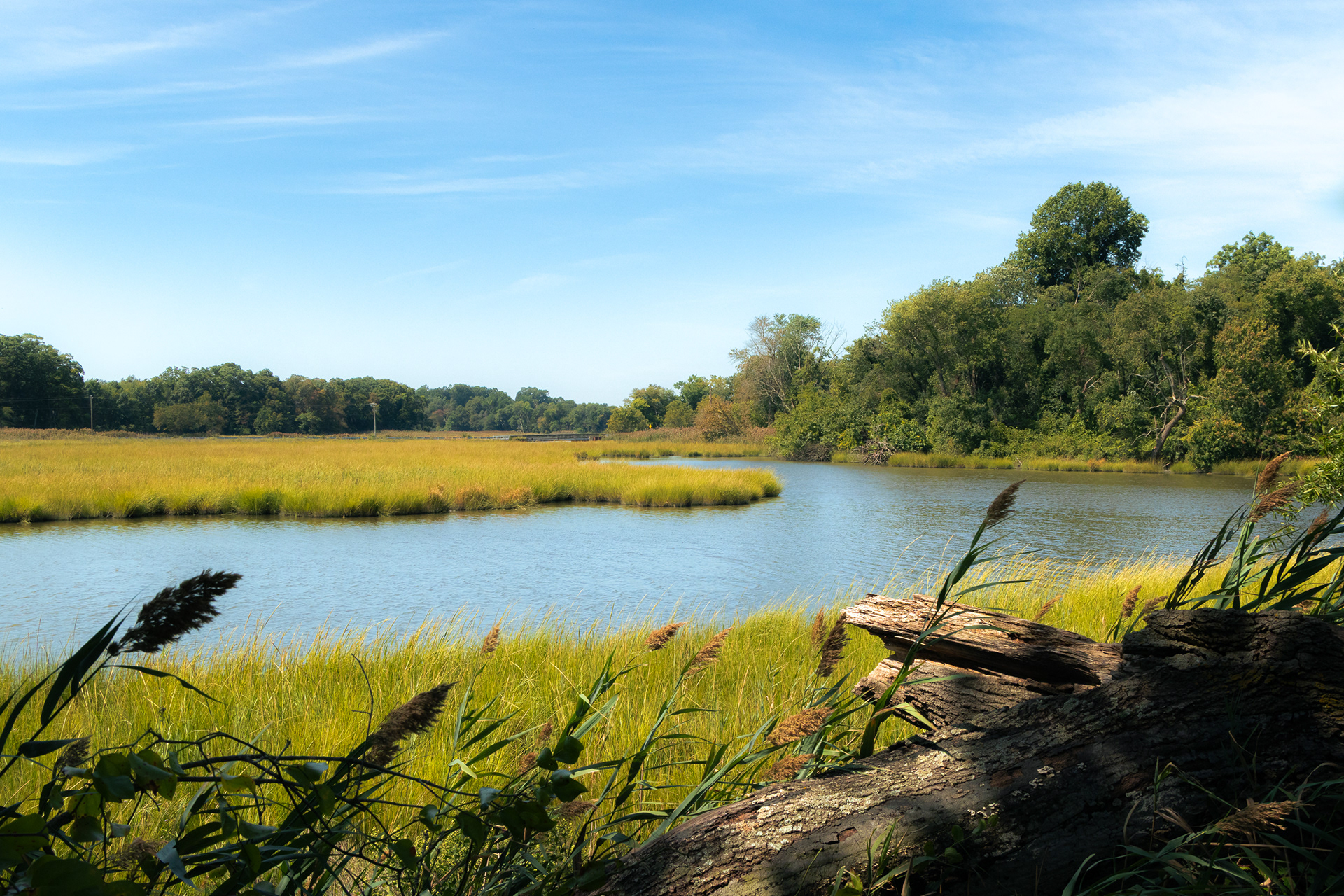 Dover, Delaware
