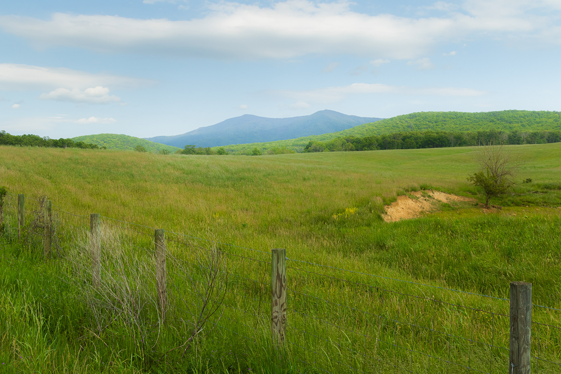Blue Ridge Countryside