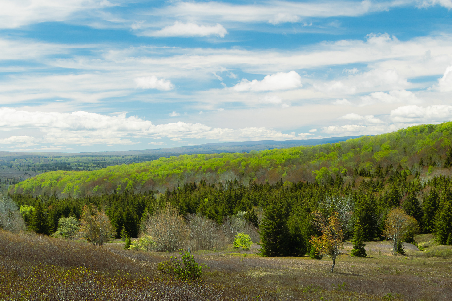 Highlands of the Potomac River