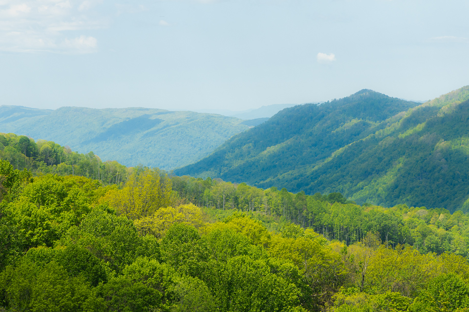 Clinch Mountains (VA and KY)
