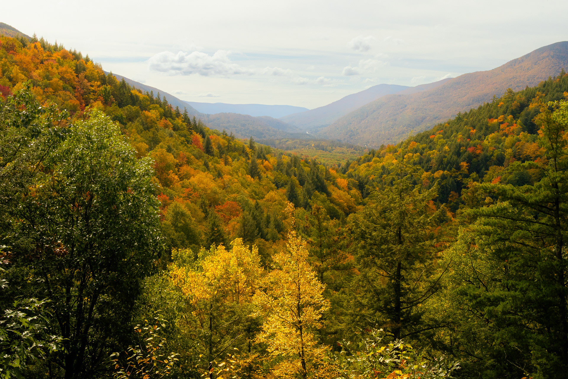 Big Branch Wilderness, Green Mountain National Forest, Vermont