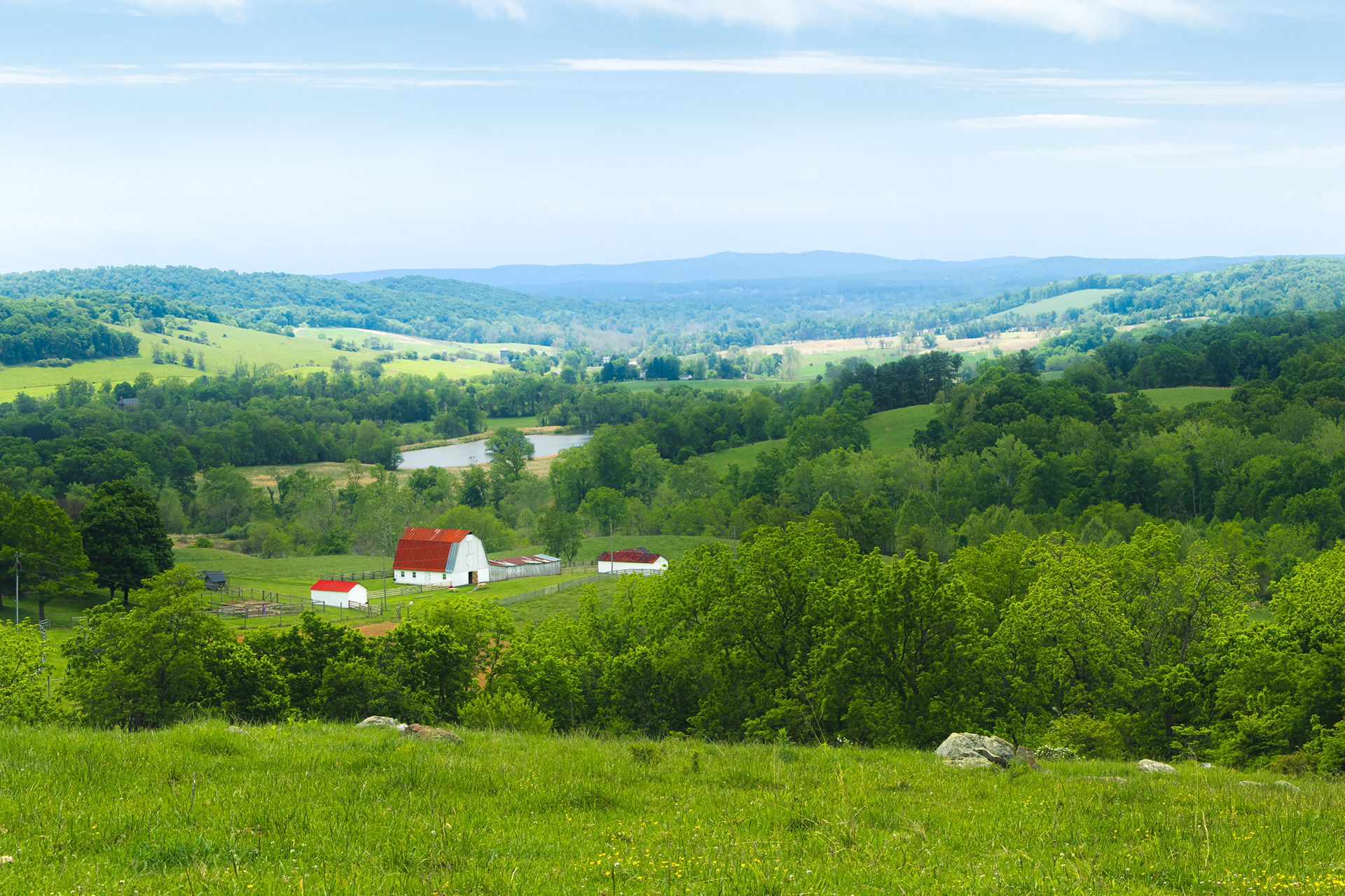 Blue Ridge Foothills