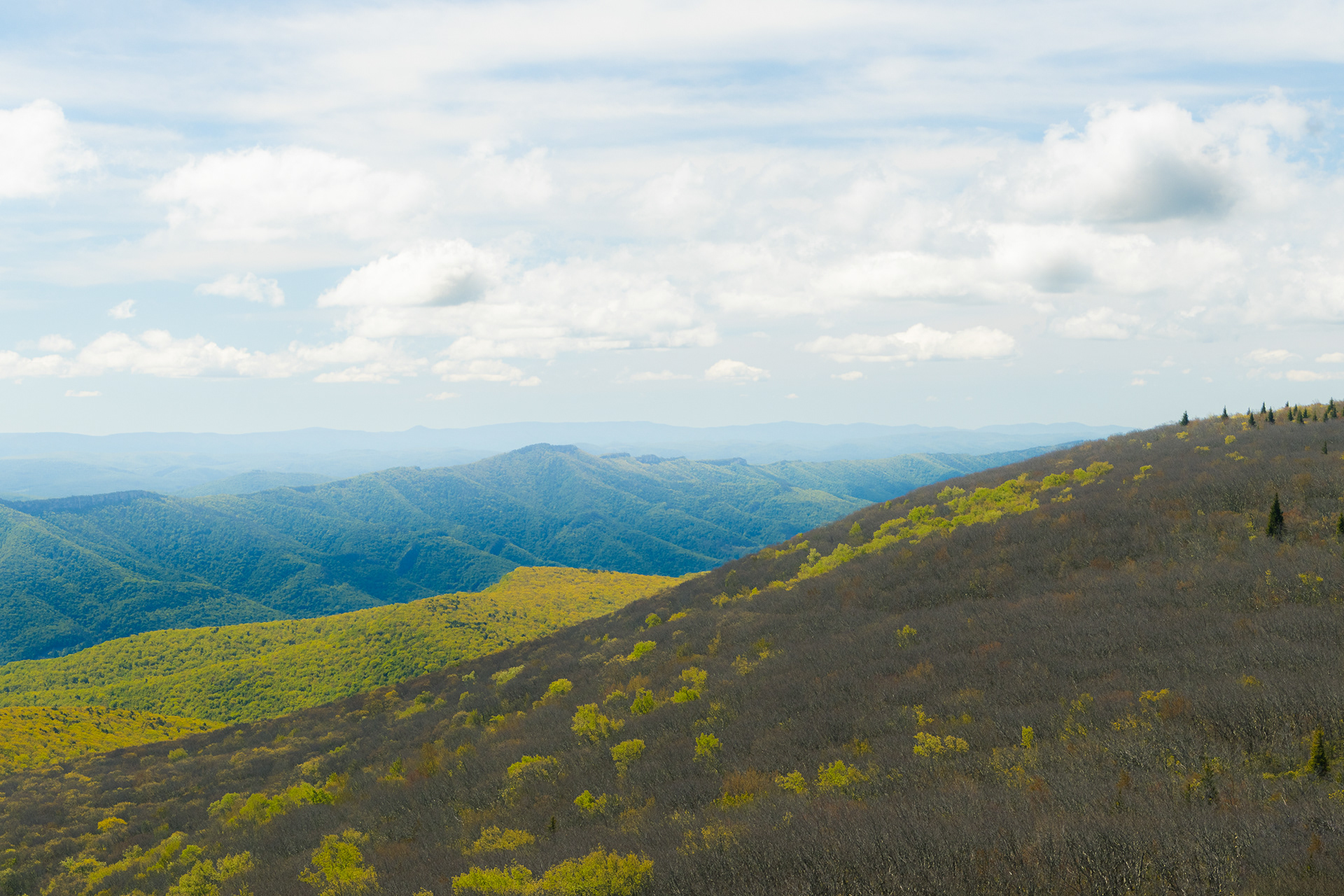Potomac Highlands