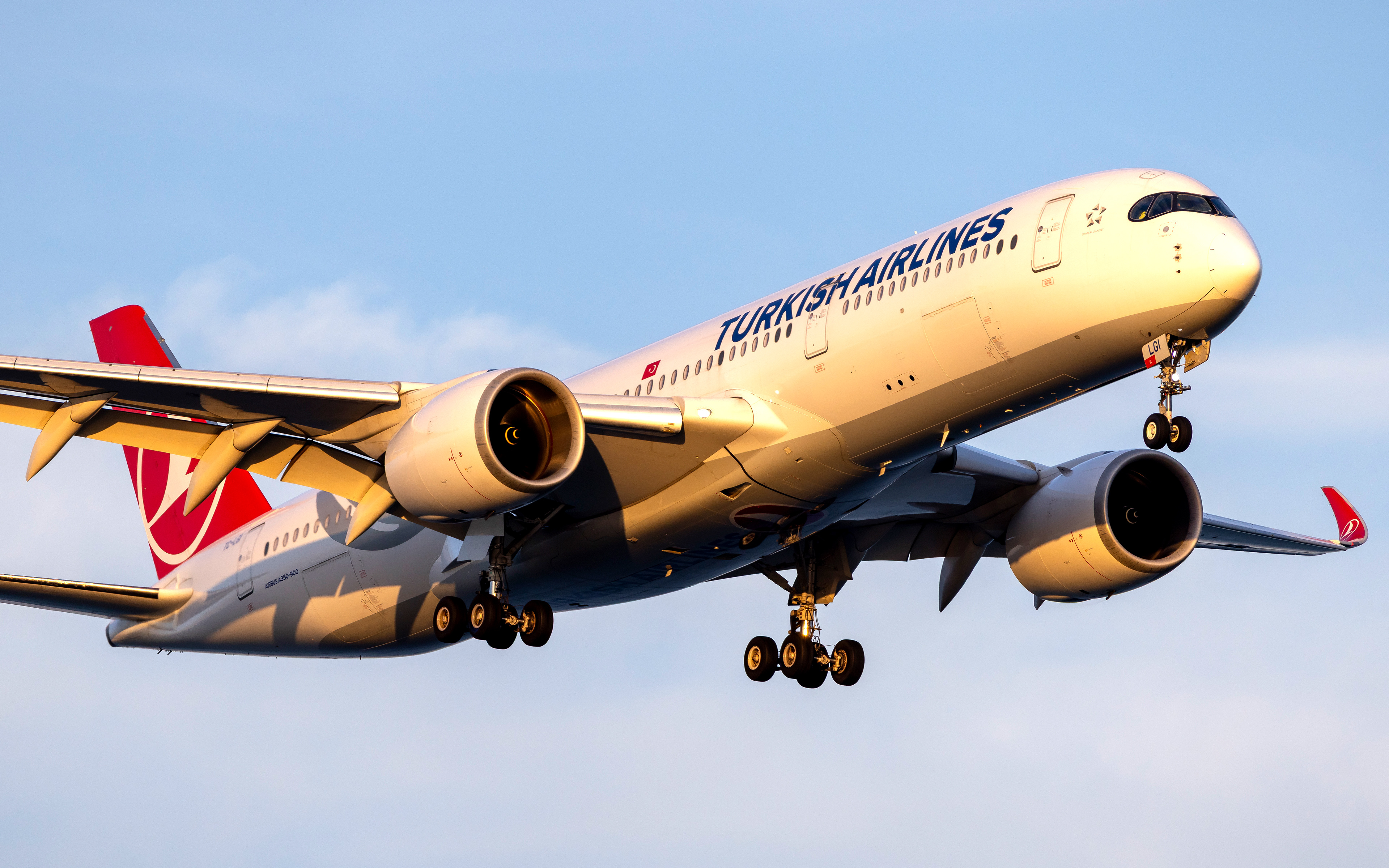 Turkish Airbus A350-900 in Boston, MA