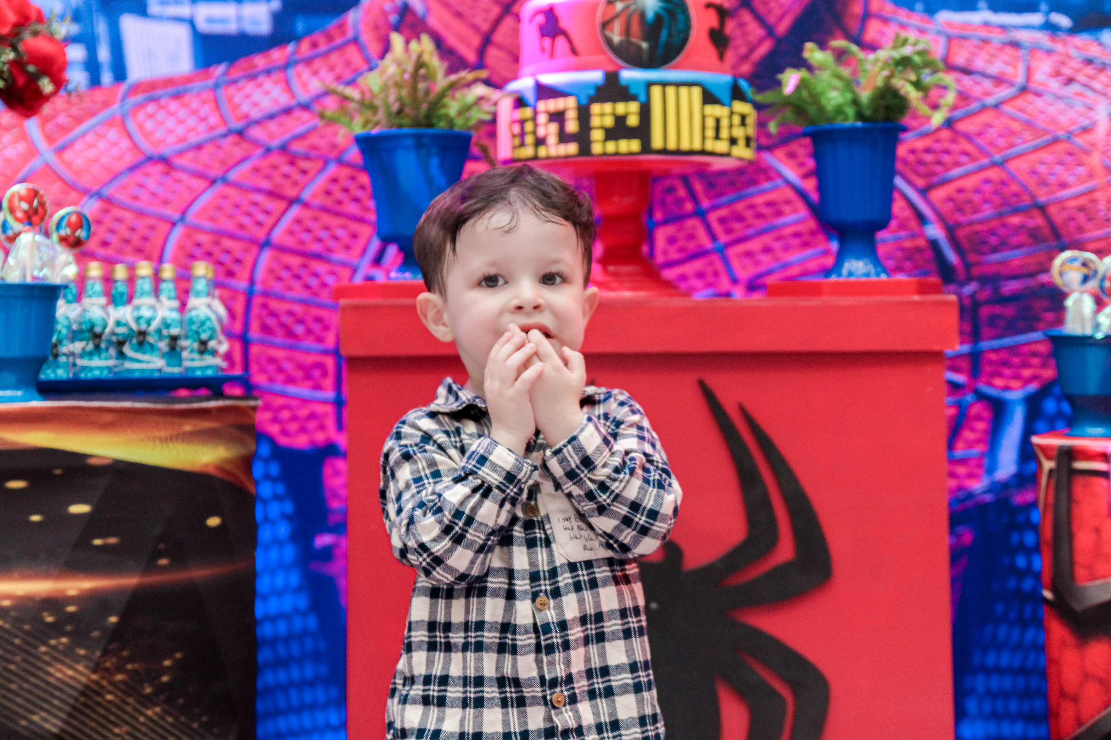 Criança de 3 anos comemorando aniversário SP.