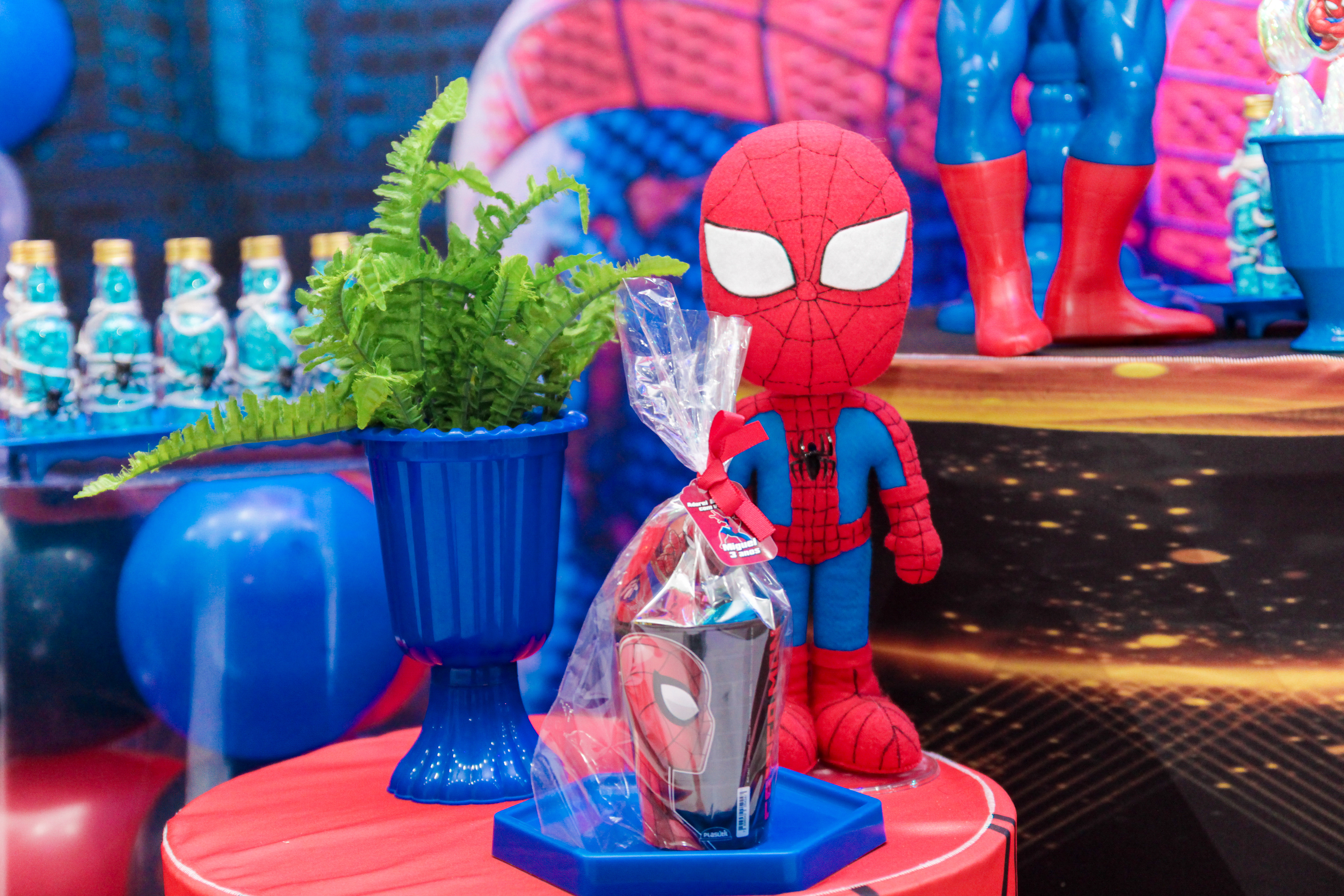 Detalhes da decoração Homem-Aranha, SP.