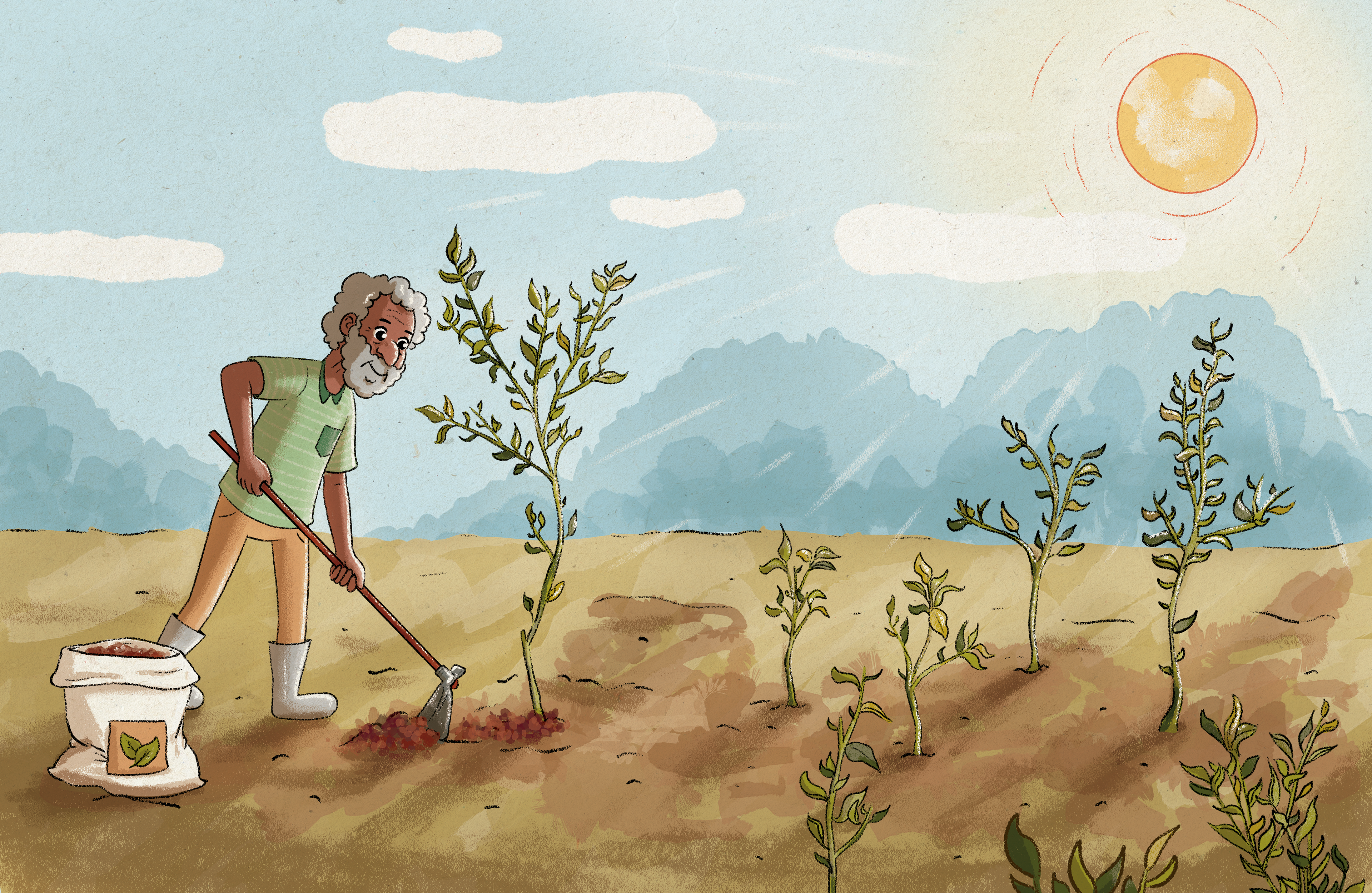 O Segredo da Mexerica (2022)