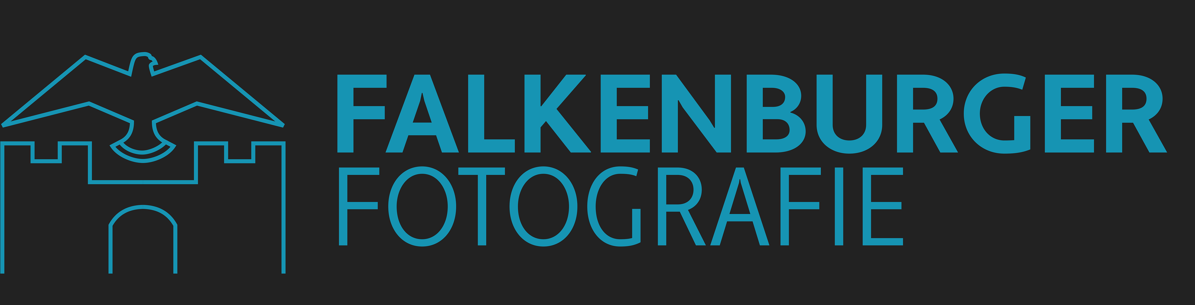 FalkenburgerFotografie_Logo