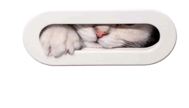 think outside the box