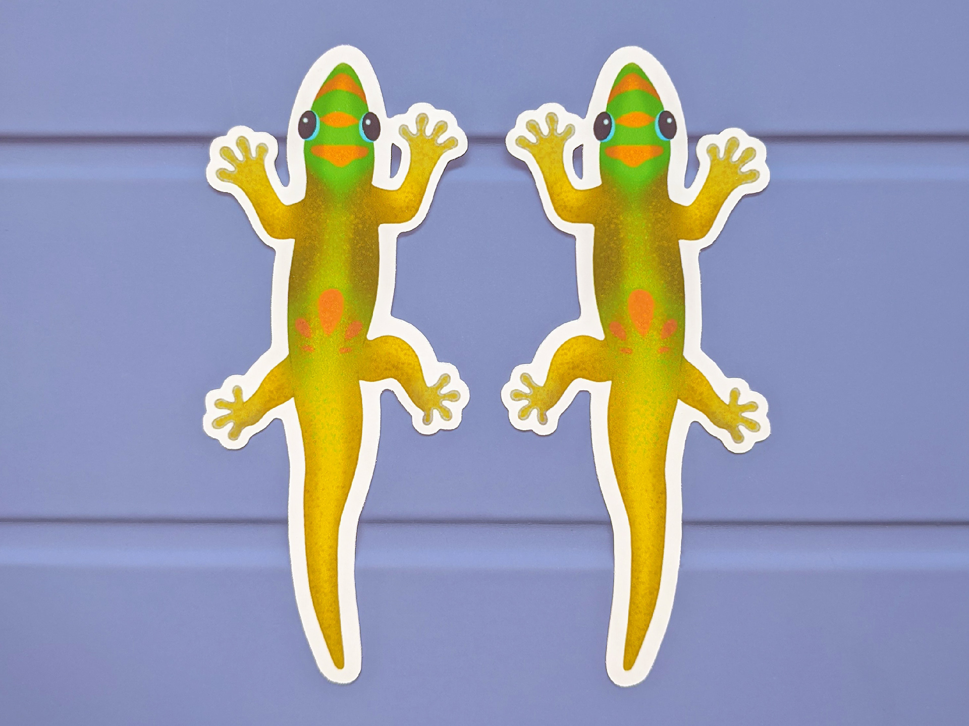 Gecko