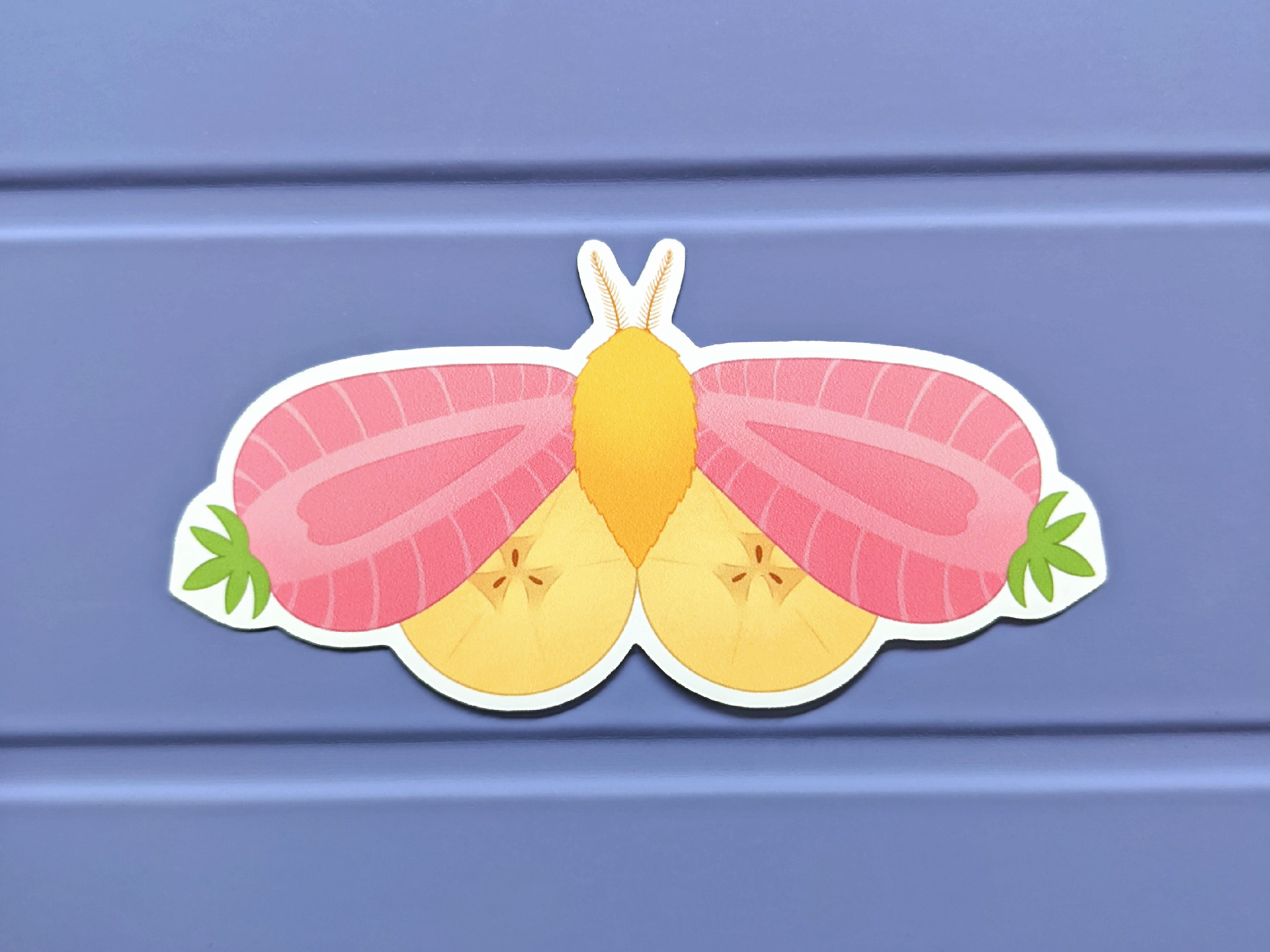 Strawberry Banana Moth