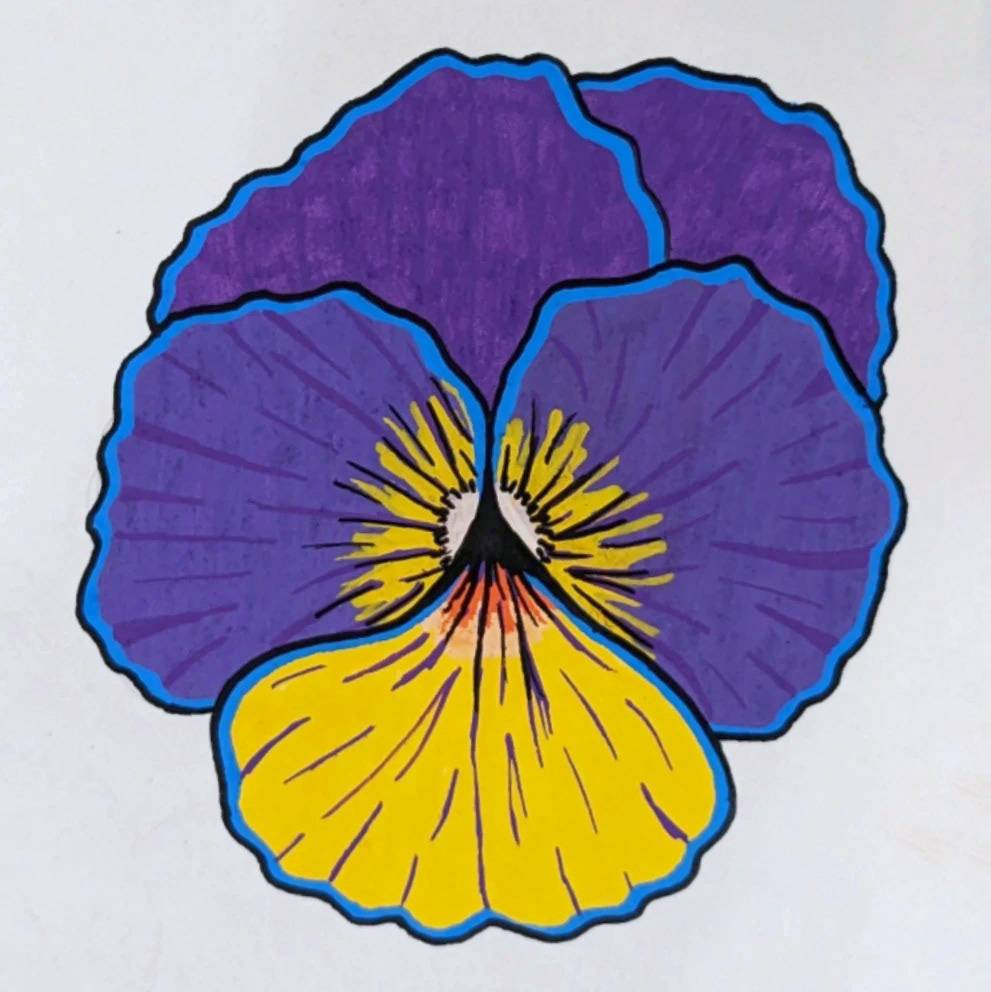 Purple & yellow pansy w/ Posca markers