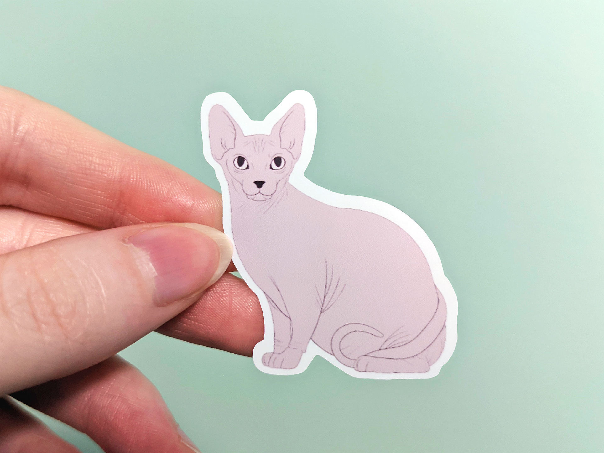 Sphinx Cat