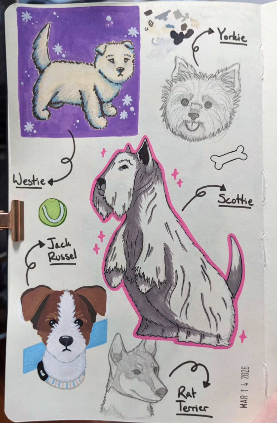 Terrier breed doodles