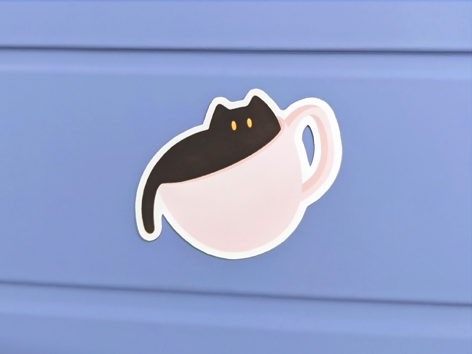 Coffee Cat