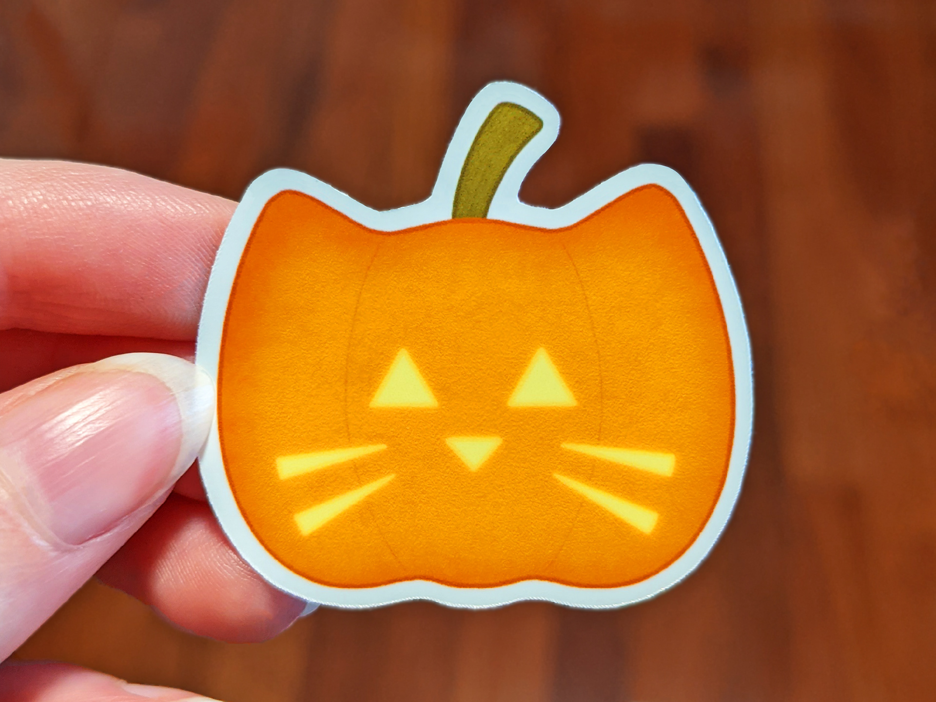 Cat'o'Lantern