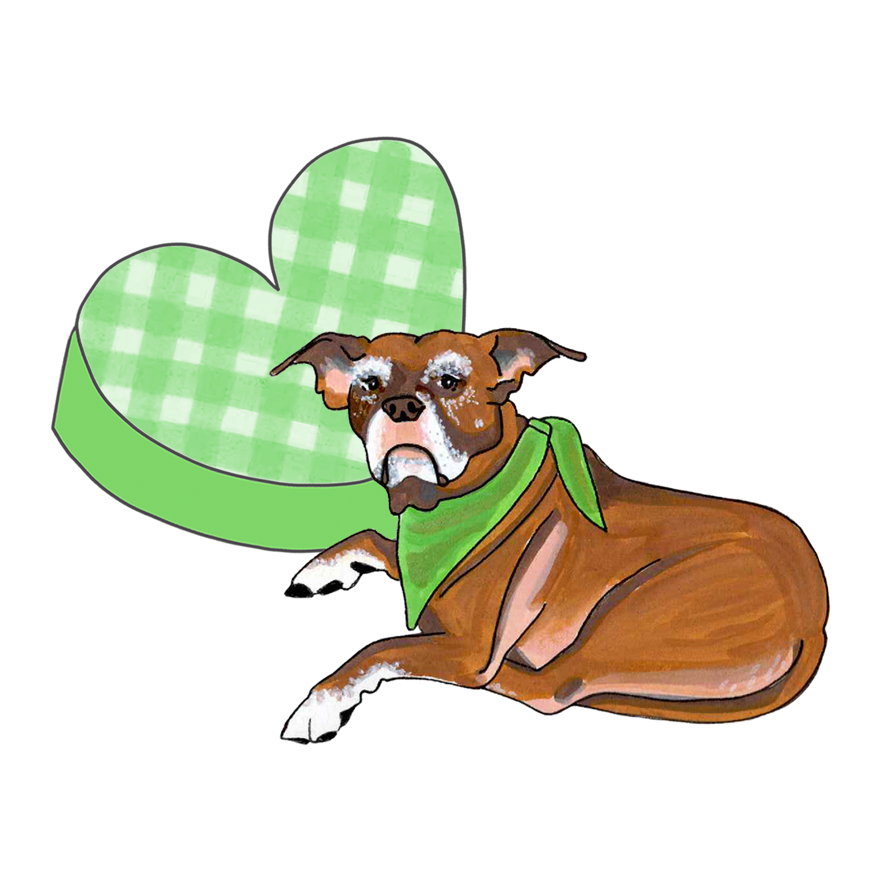 Calypso leans on a green gingham heart.