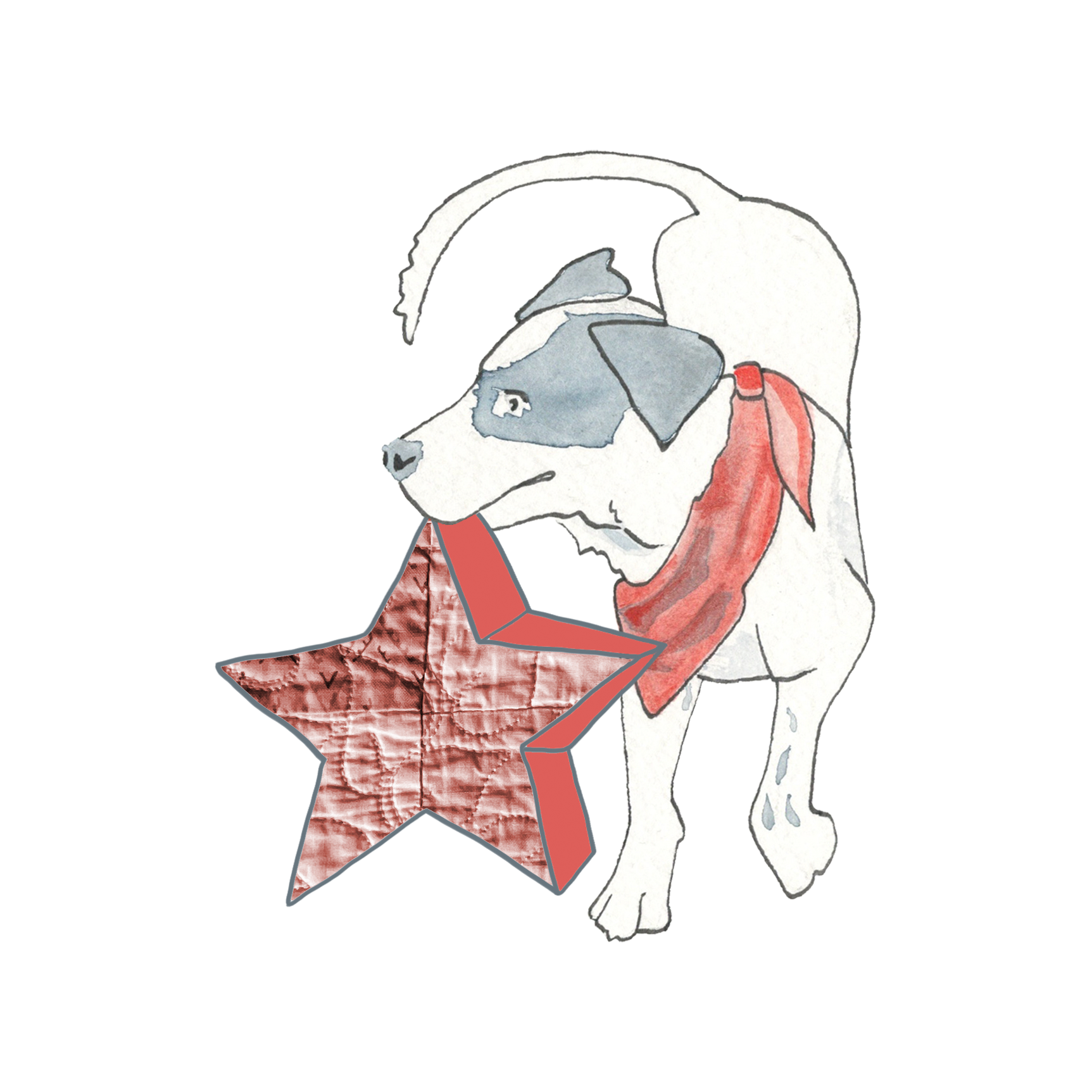 Milo retrieves a quilted red star.