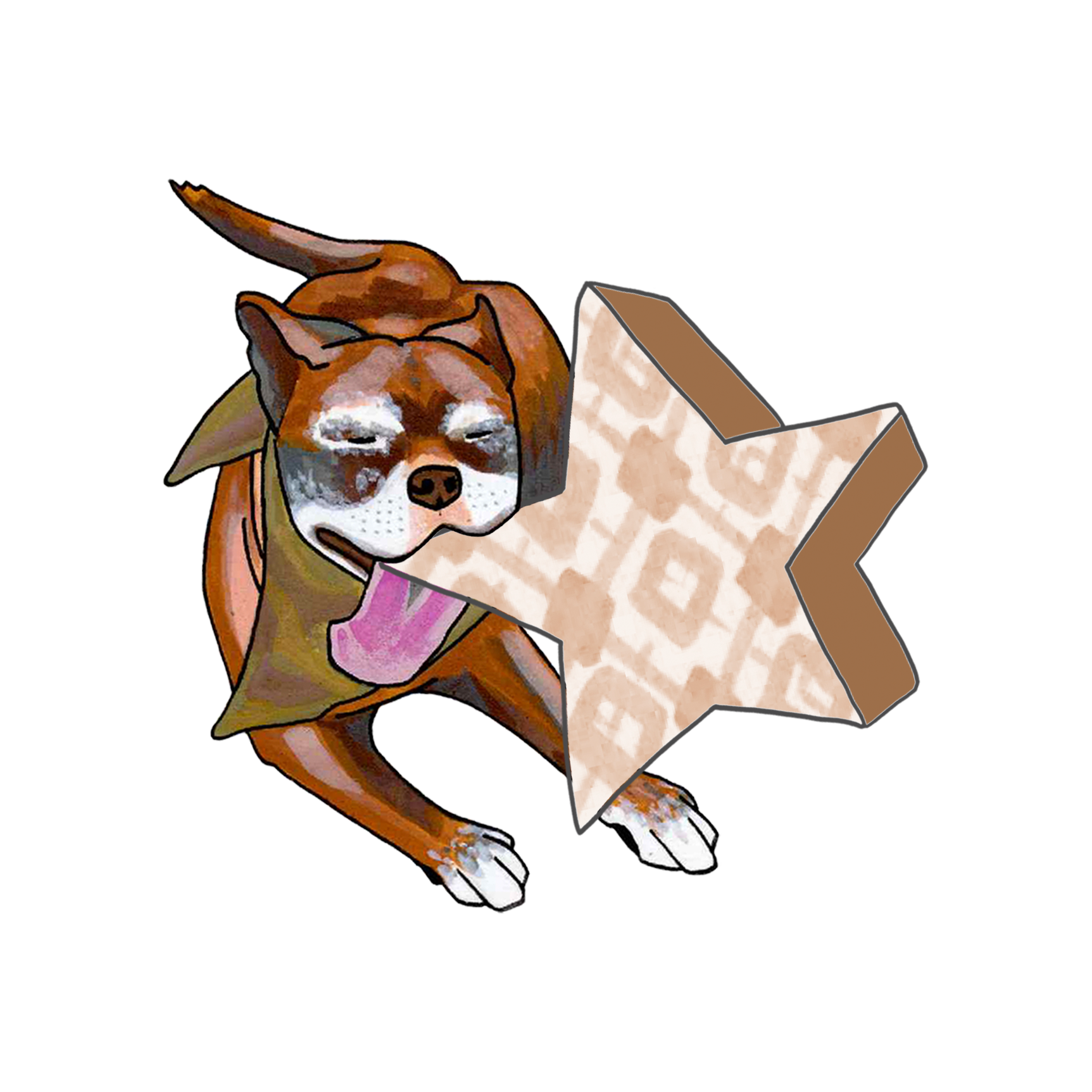 Calypso gnaws on a brown argyle star.